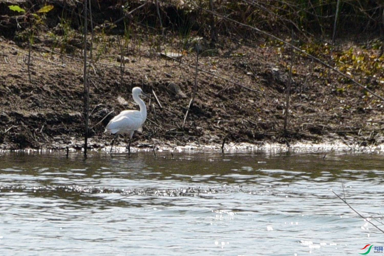 DSC_7214.JPG