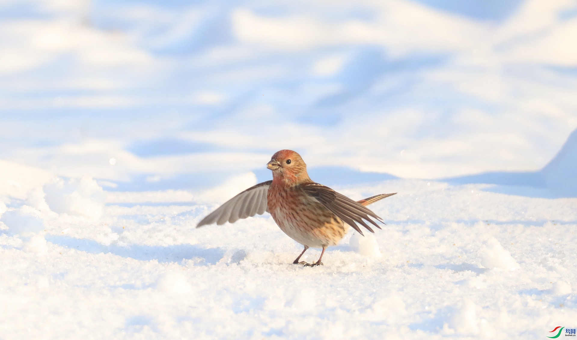 0G1A5727 ����.jpg