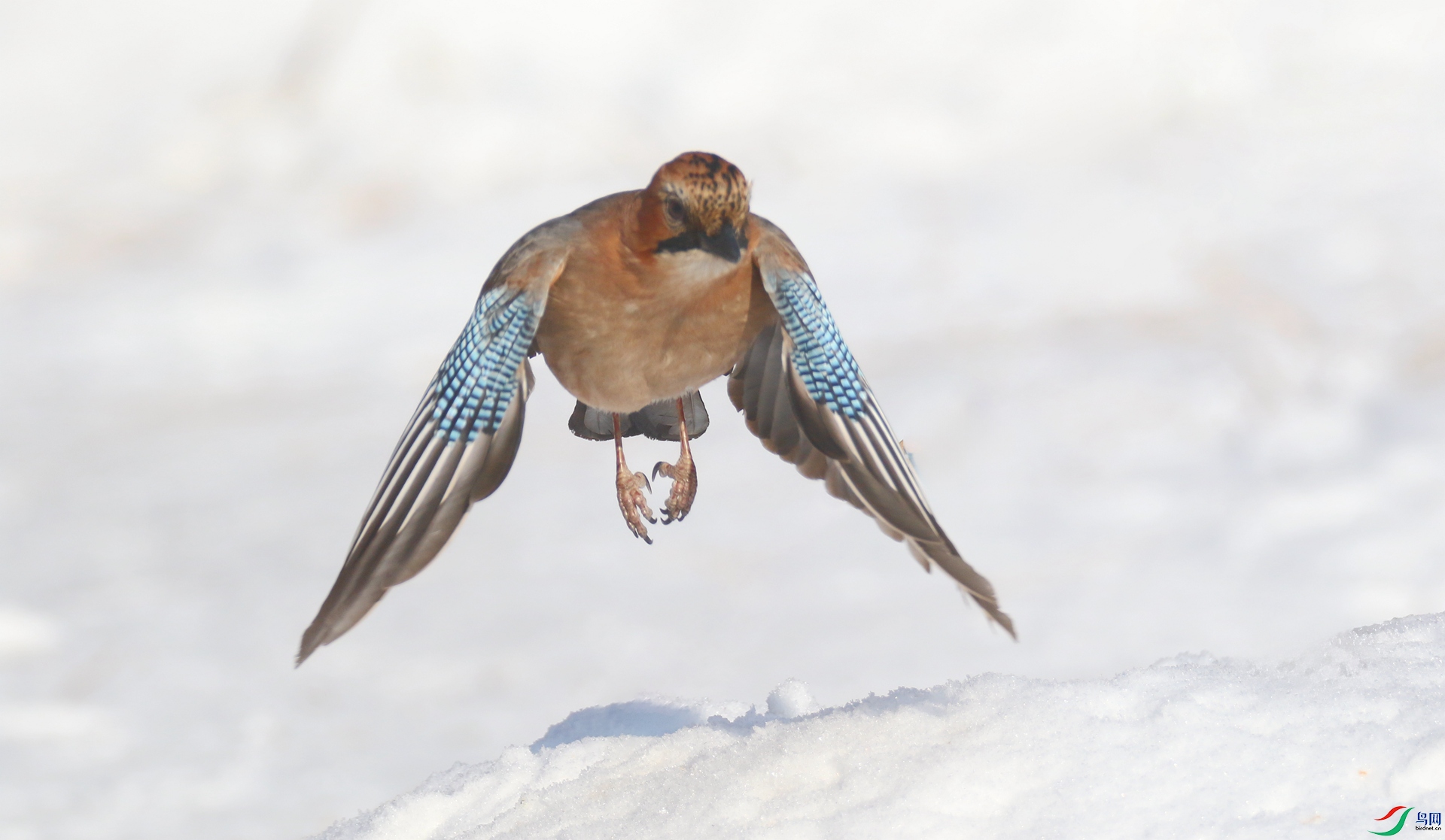 0G1A5137 ����.jpg