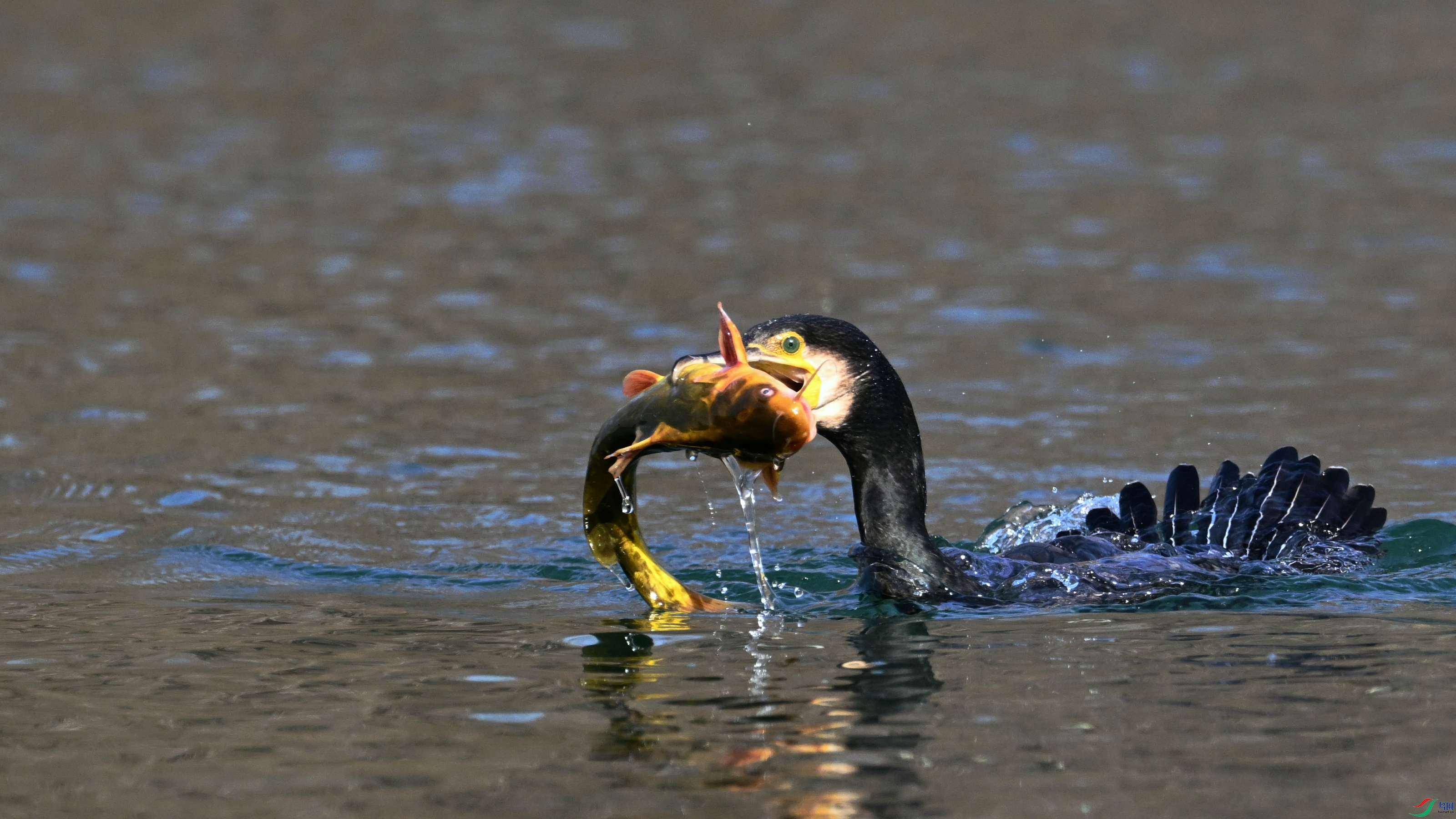 DSC_9055.JPG