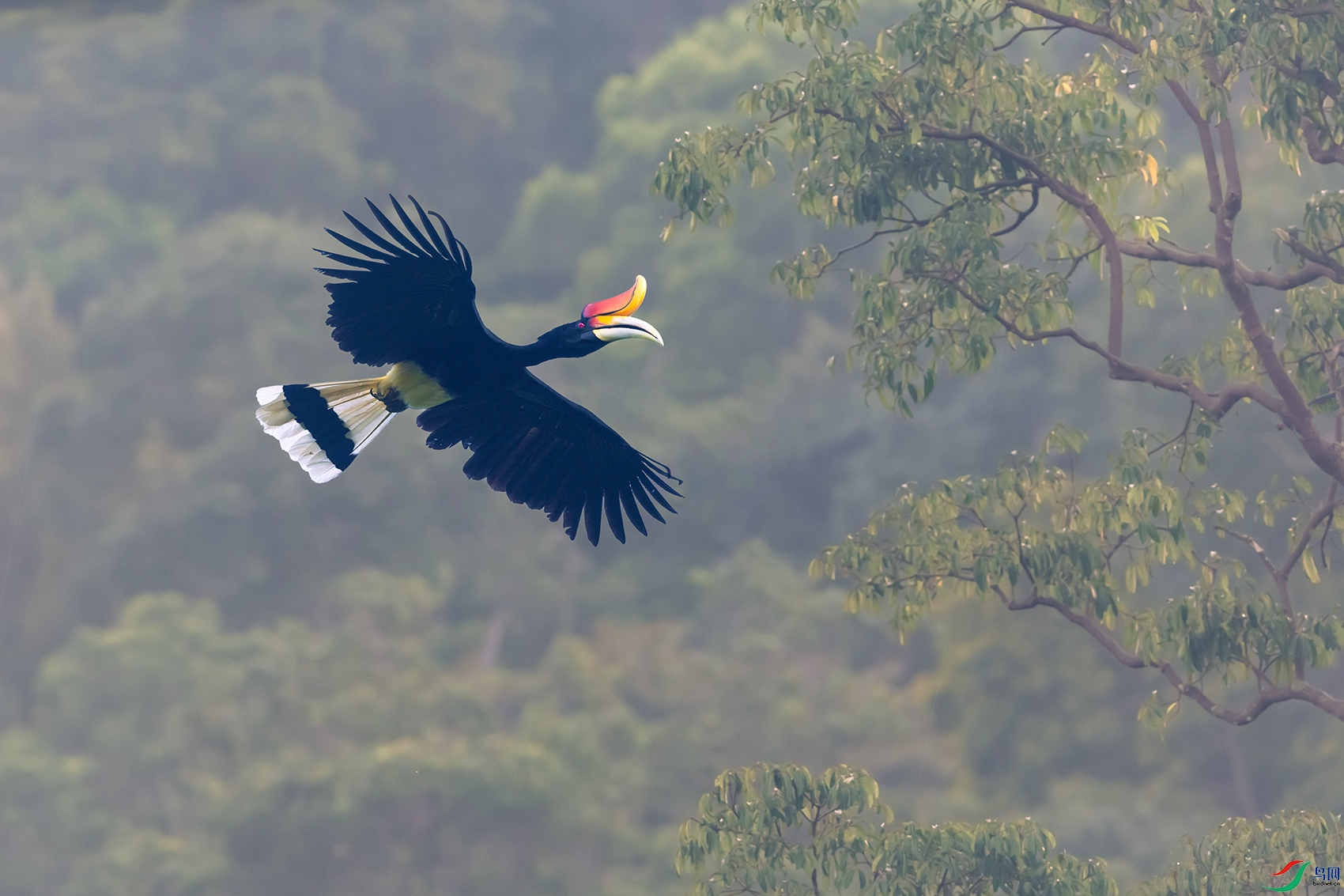 ����Ϭ��----�ֺ�����