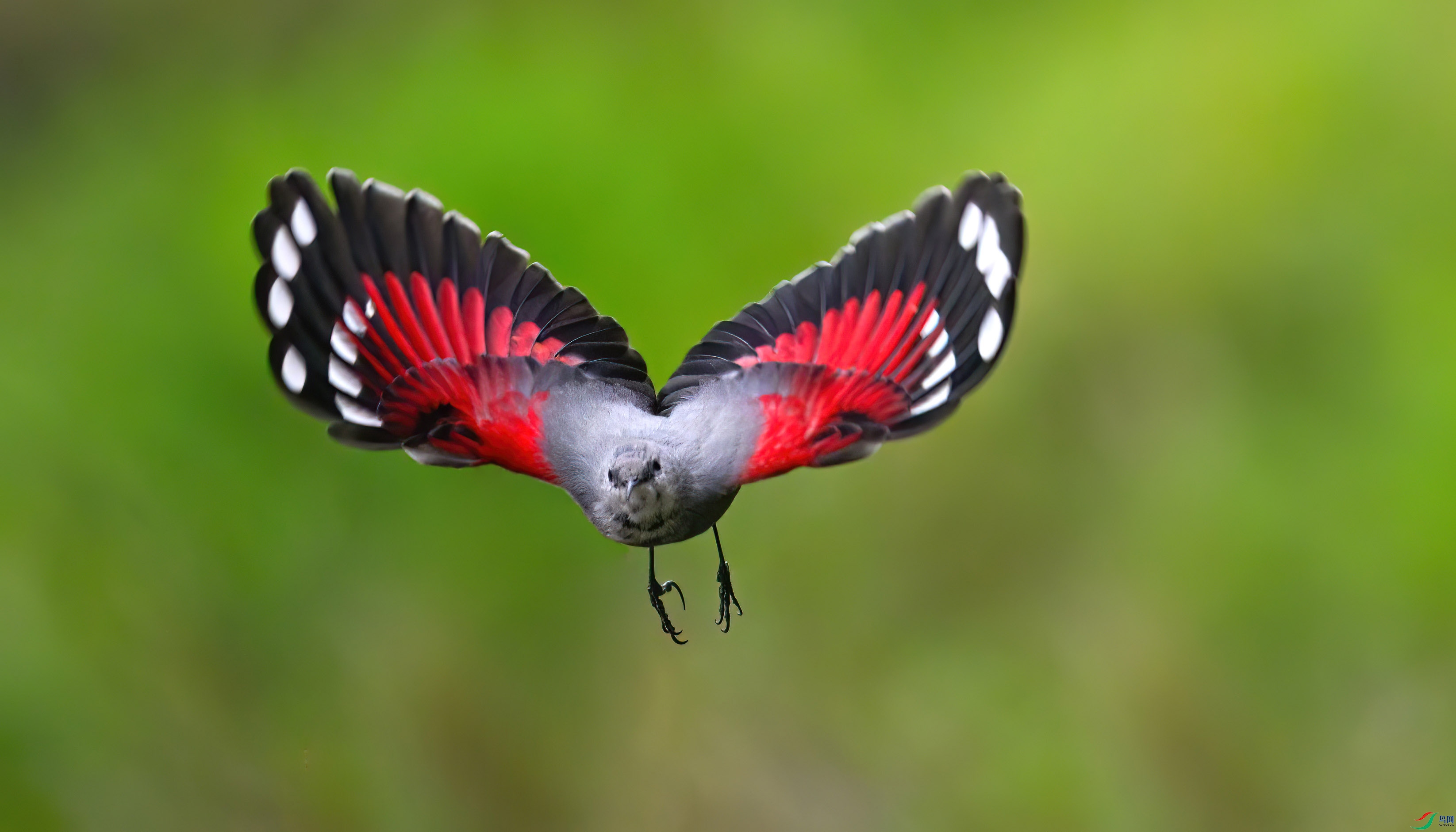 DSC_8160 ����-x.jpg