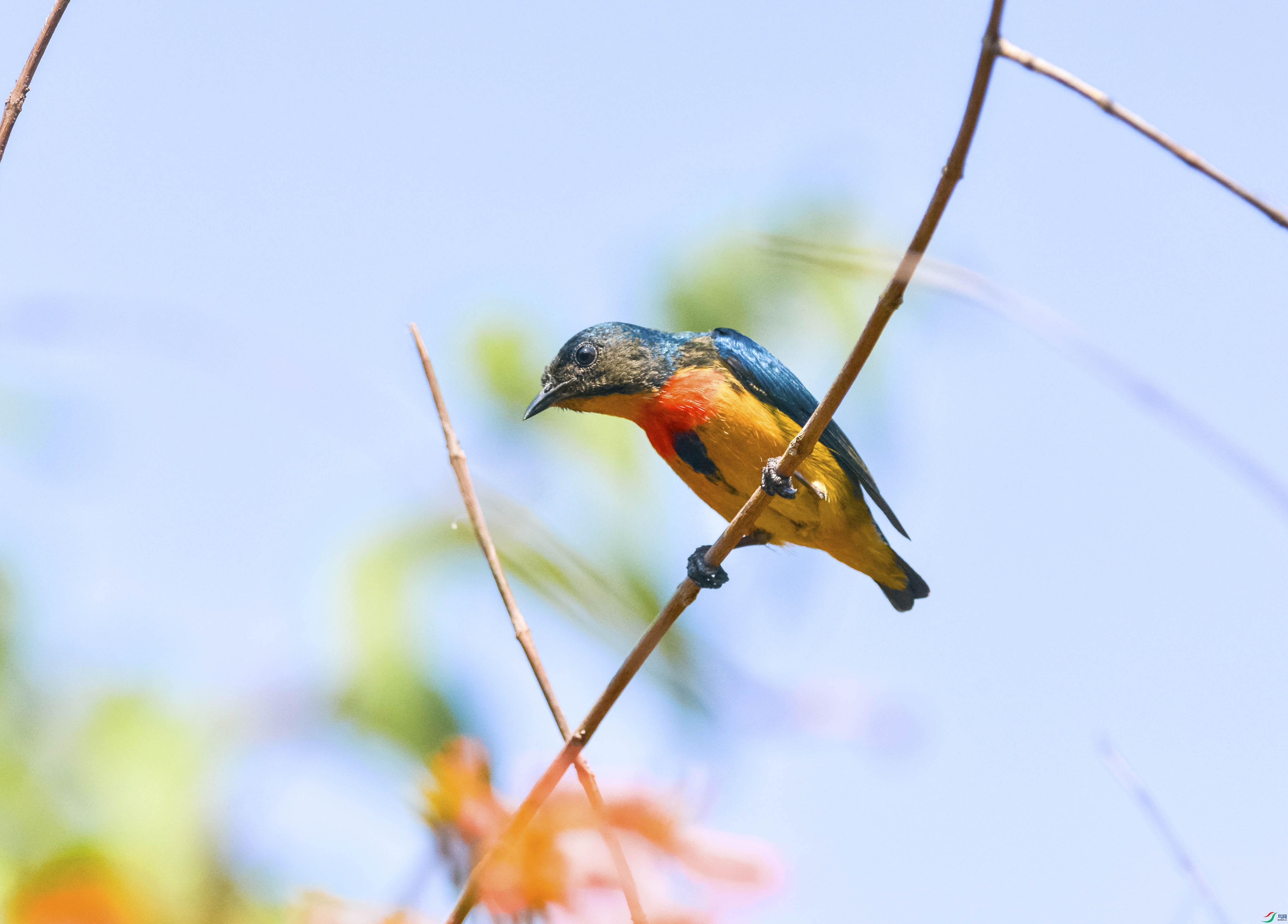 DSC_6045.jpg