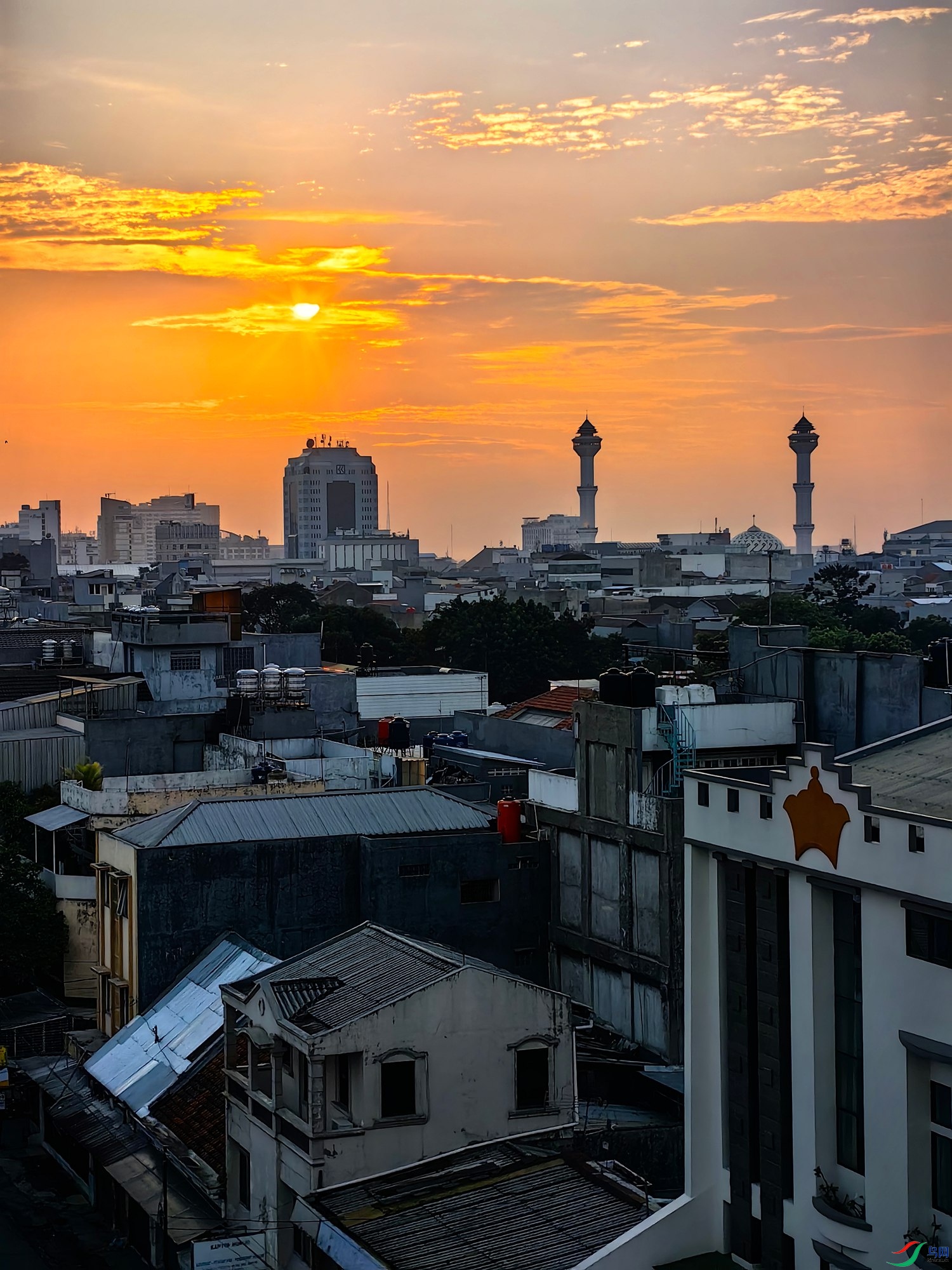 IMG_20231215_055749_���� - ���� (2).jpg