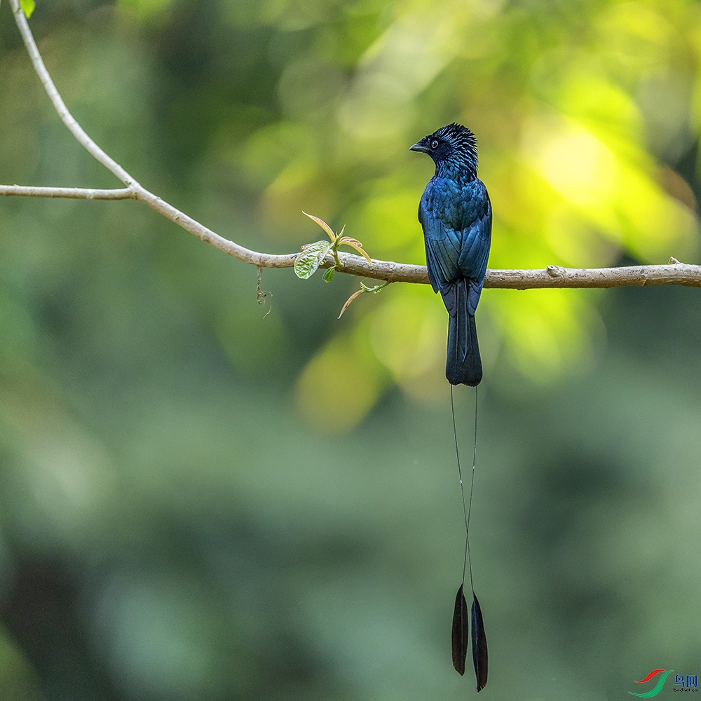 0F7A5683 ����.jpg