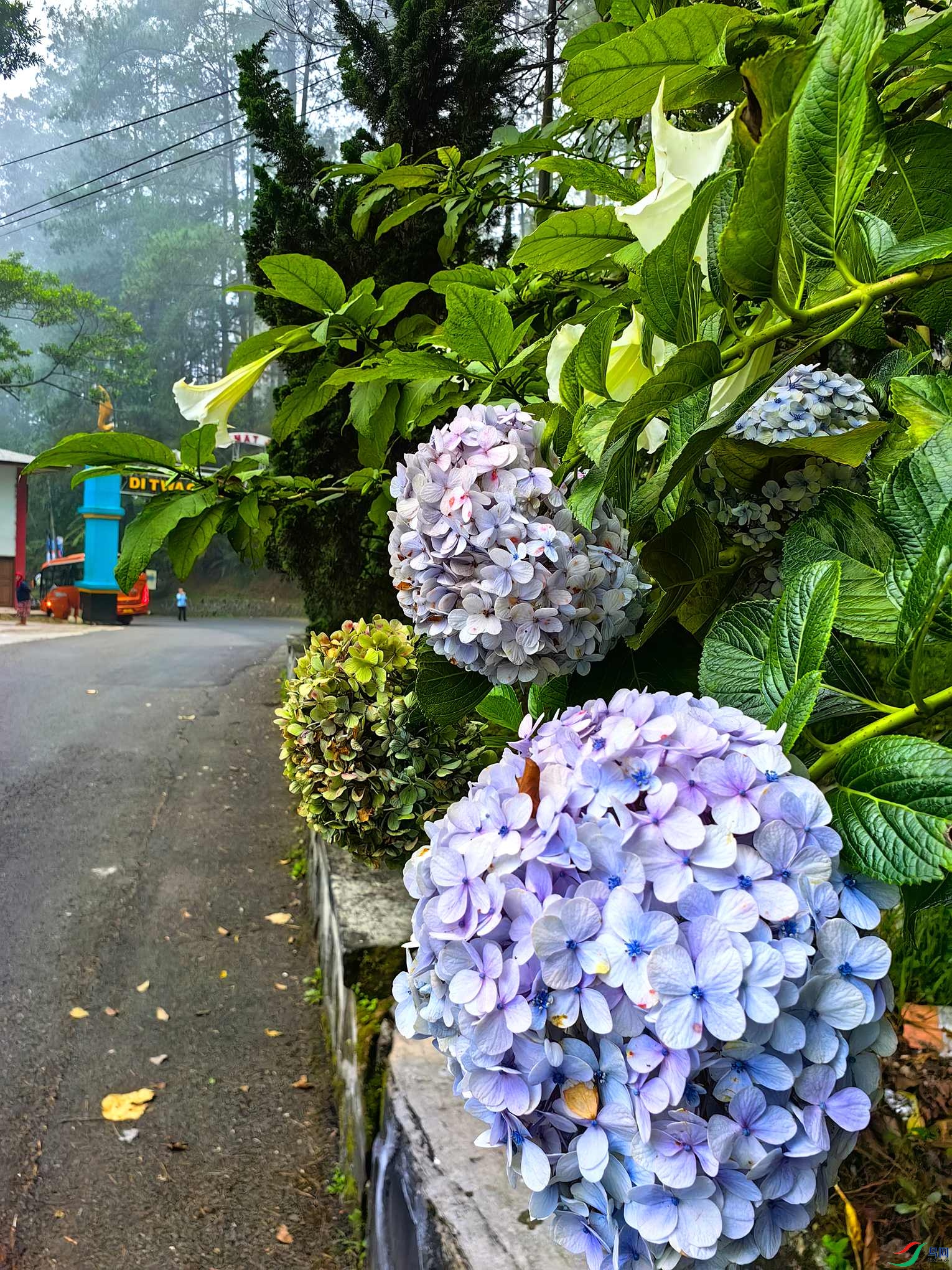 IMG_20231215_174315_���� - ���� (2).jpg