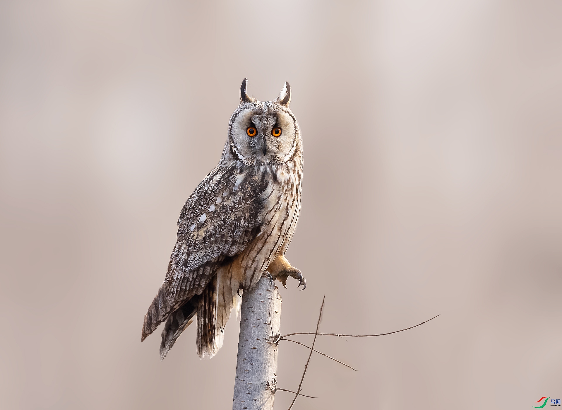 019A1289 ����.jpg