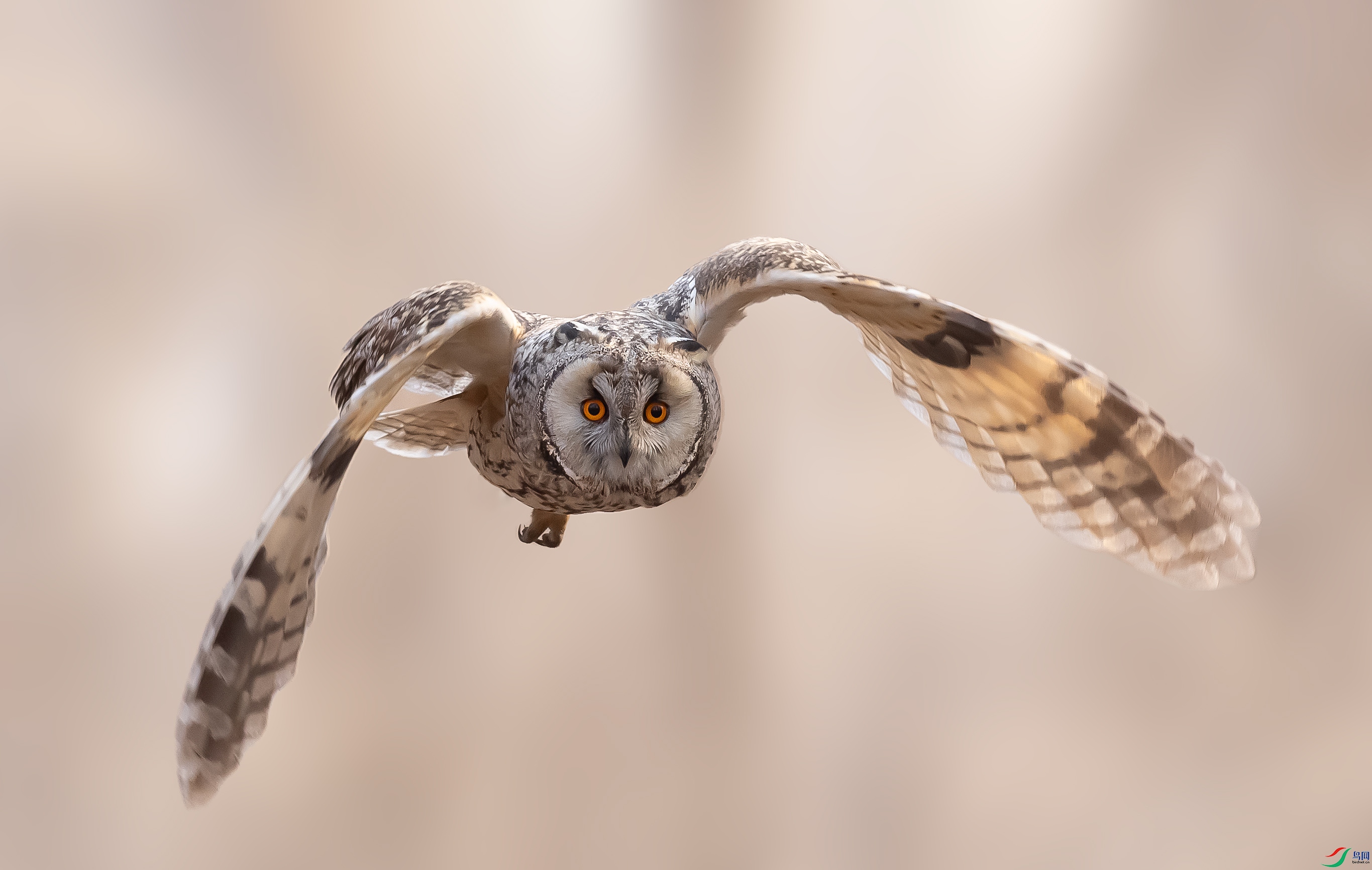 019A14079 ����.jpg