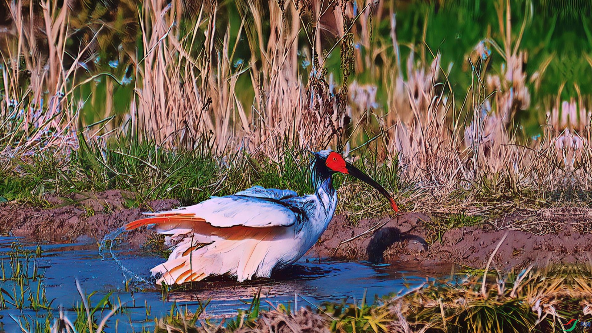 ���q�����ʱ��