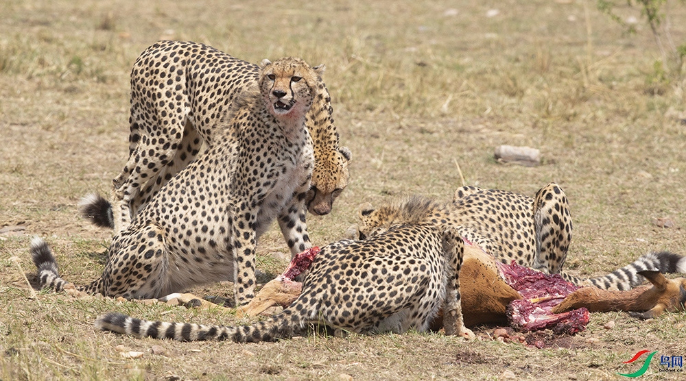 ���ޡ��Ա� ��.jpg