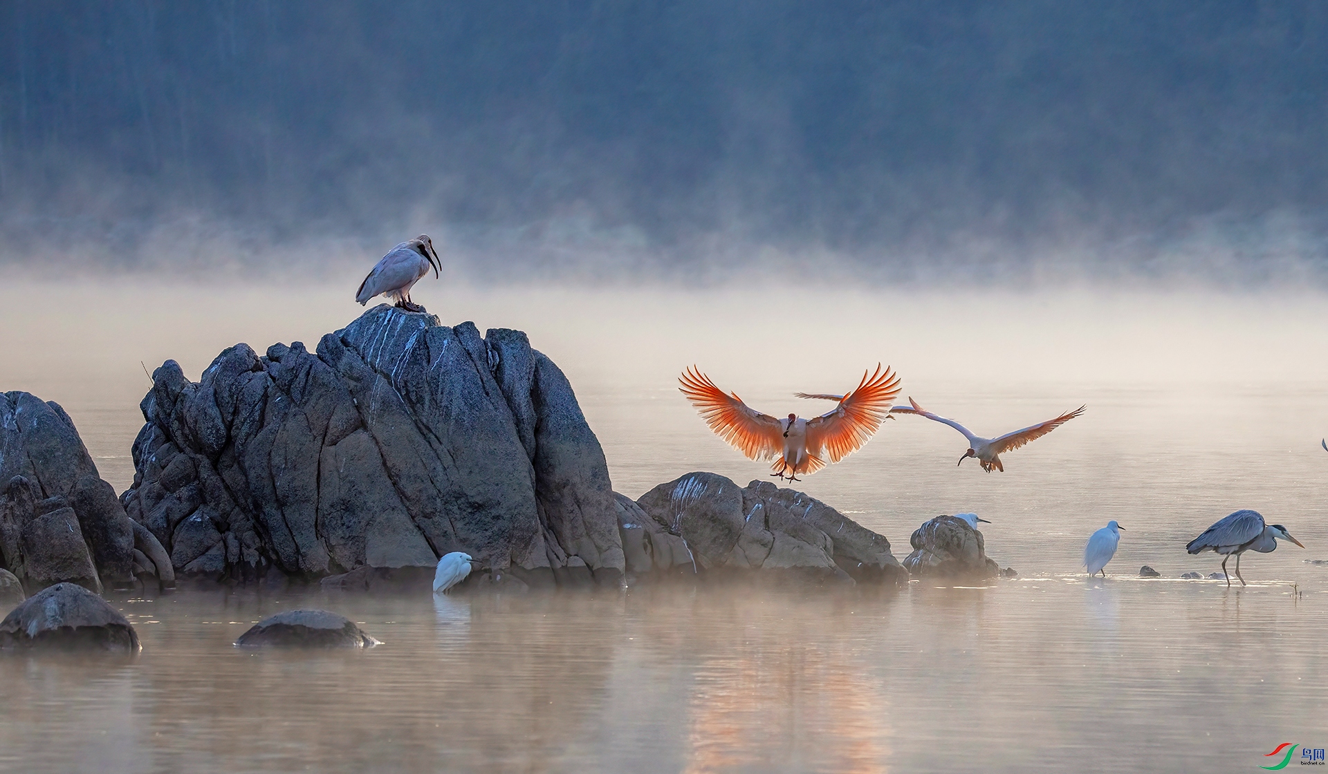 _07A0314 ����-Sh----1 .jpg