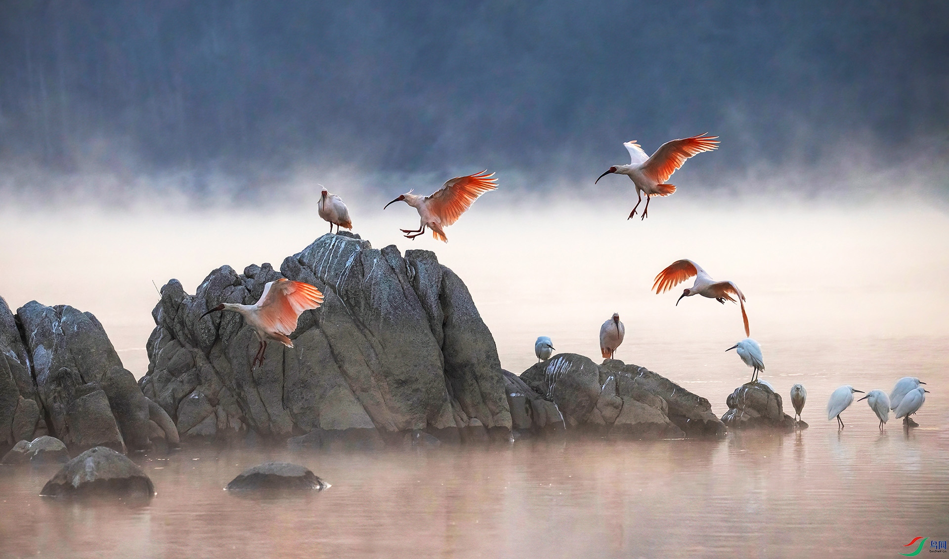 _07A7258 ����-Sh---1  .jpg