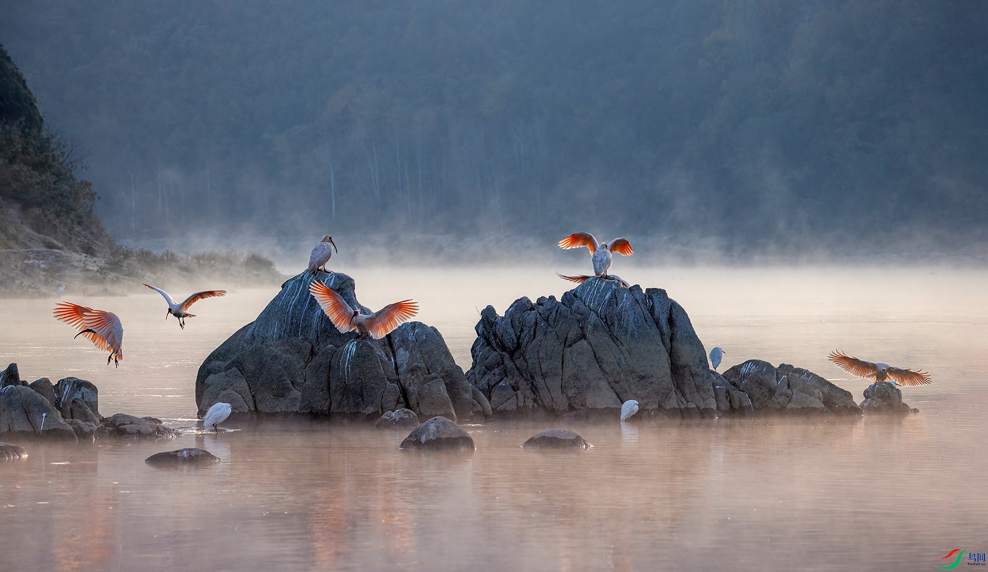 _07A9920 ����-Sh---1 .jpg