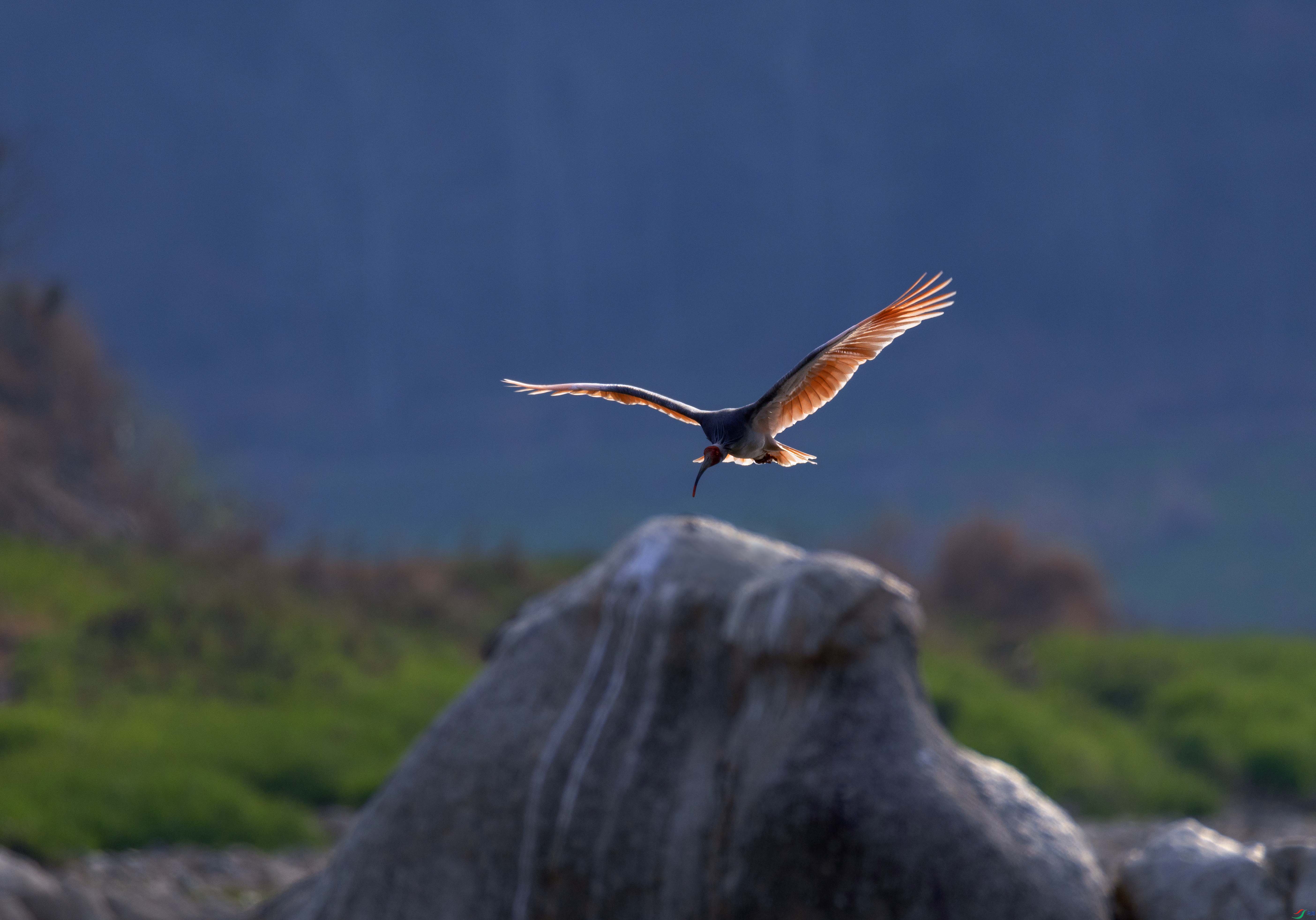 5N9A4399 ���� 2.jpg