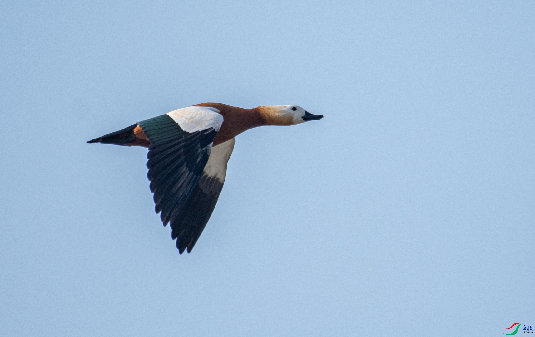 DSC_2347.jpg