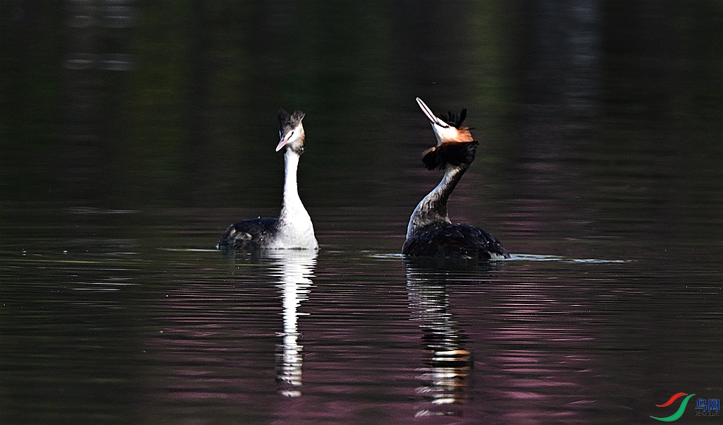 DSC_6922.JPG