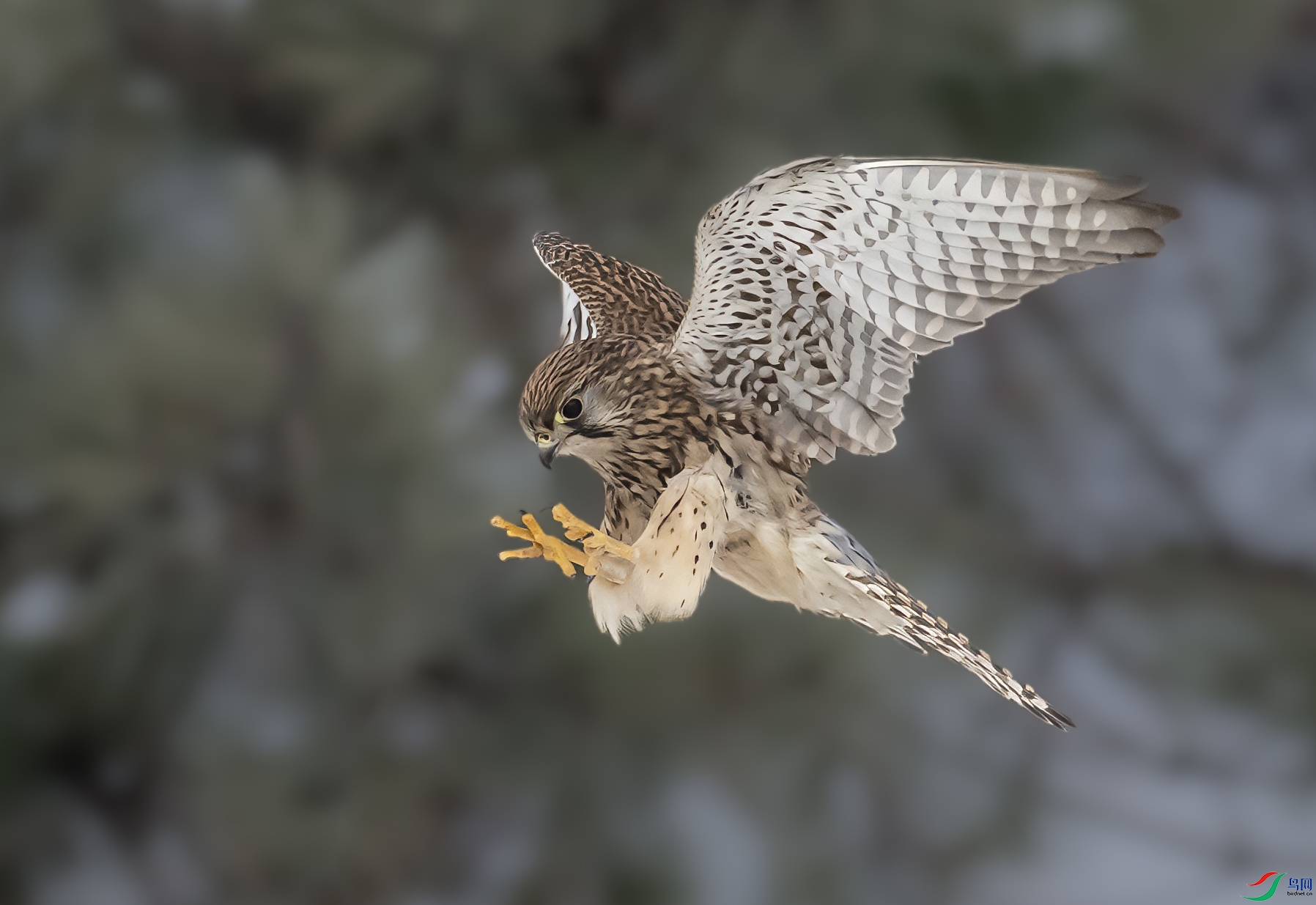 DSC_1649 ���� 2.jpg