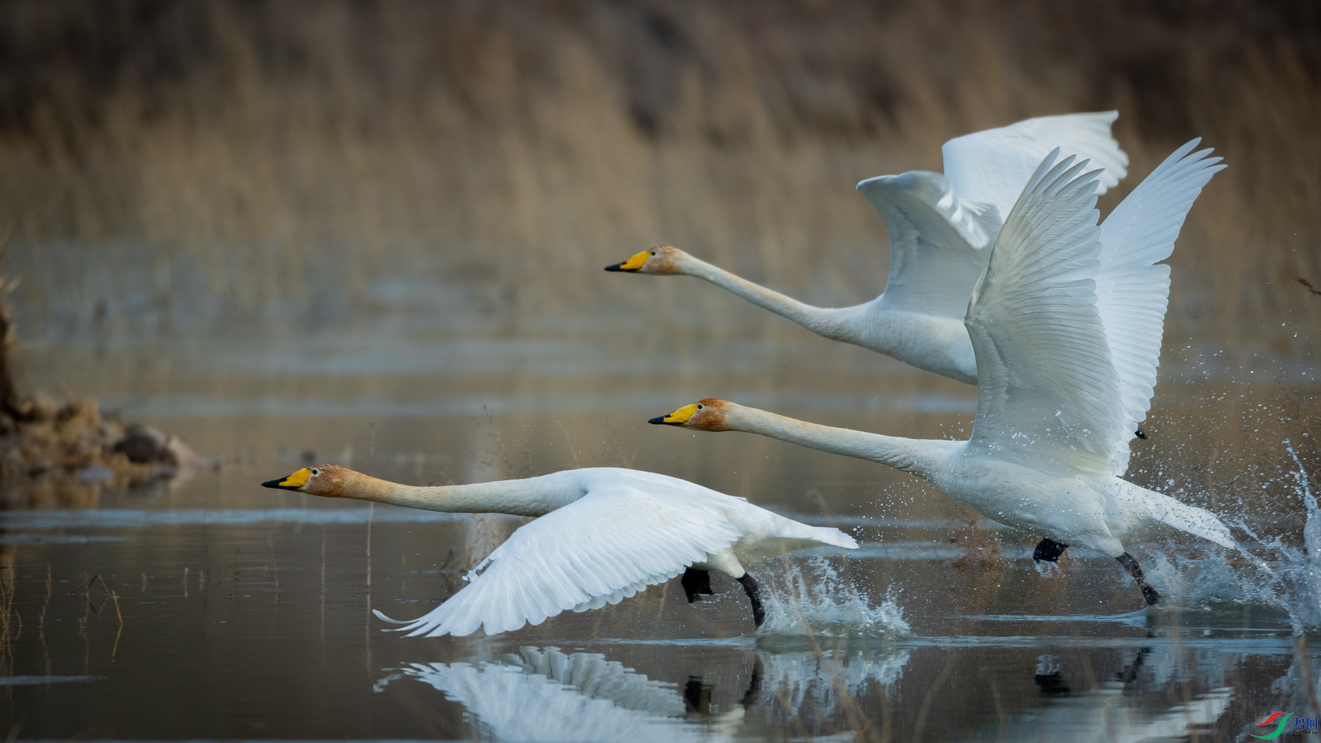 δ����ǰ���岽 ��ͷ�ѵ�������