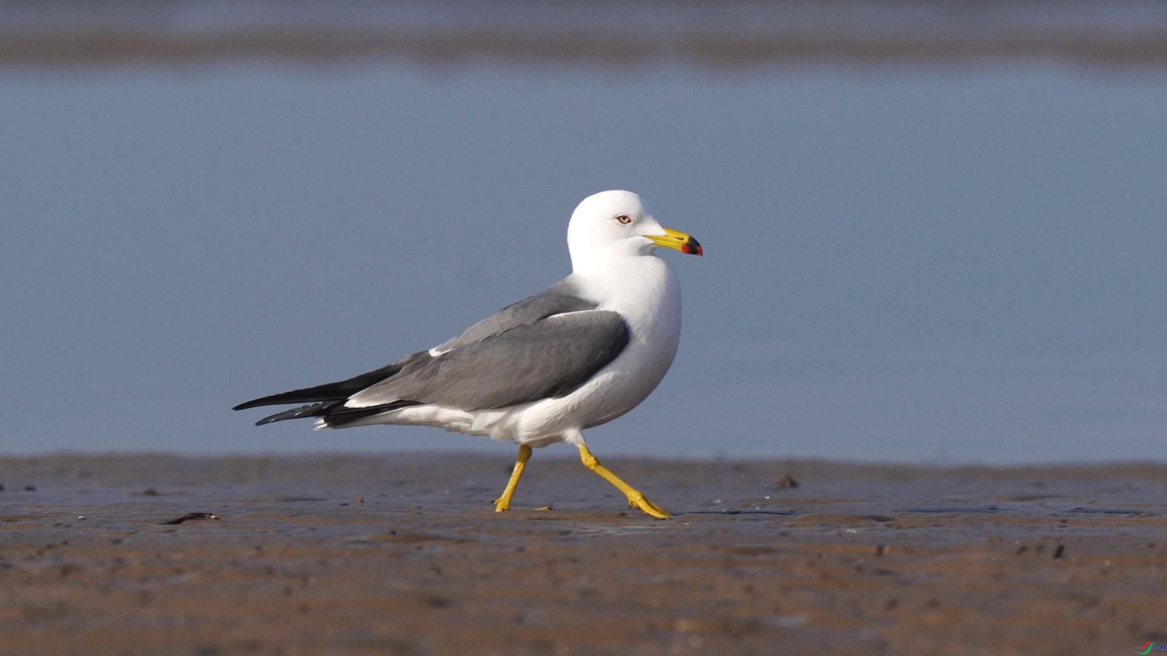 3��21�� (1)-����.jpg