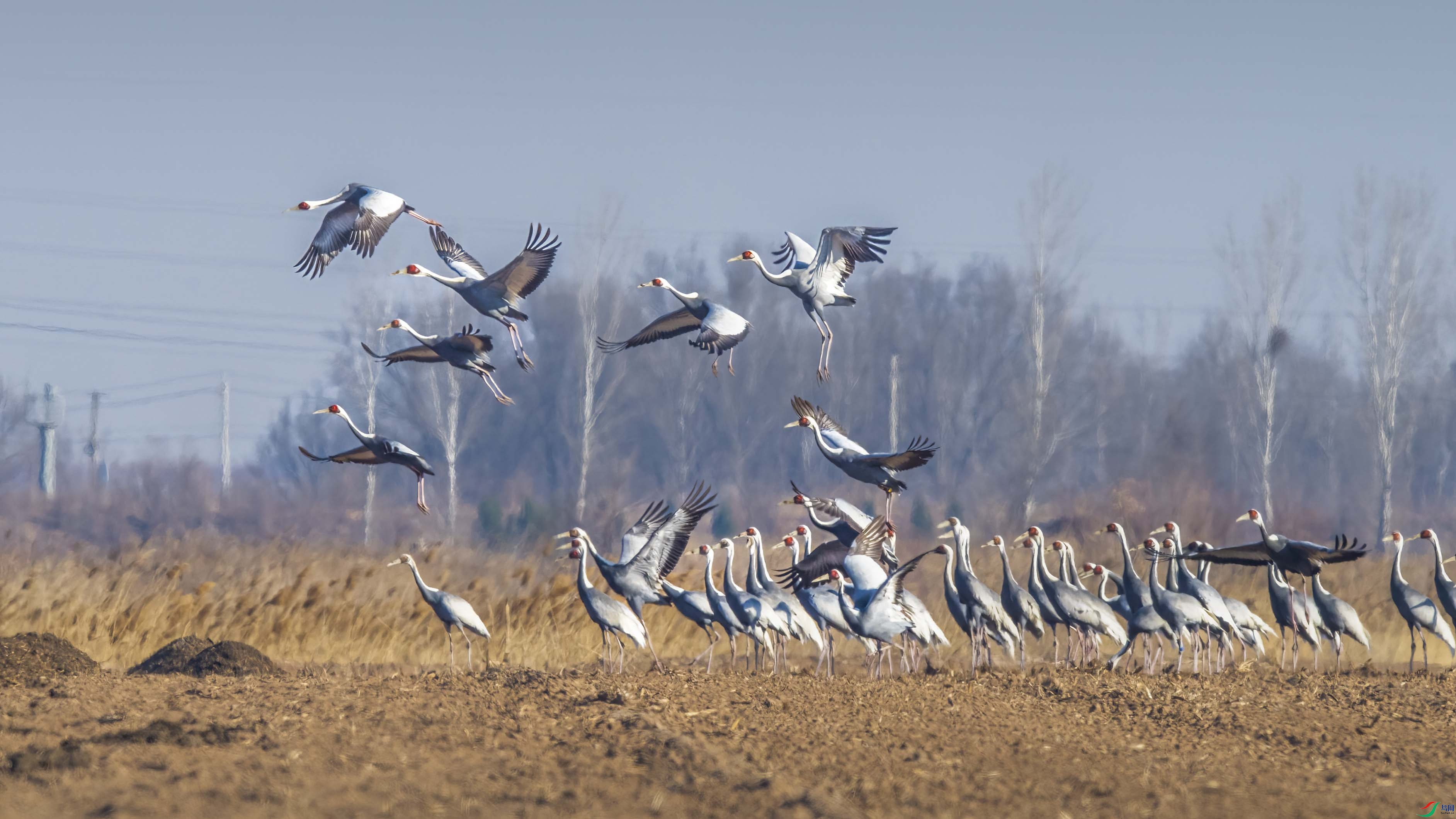 DSC_5977 ����.jpg