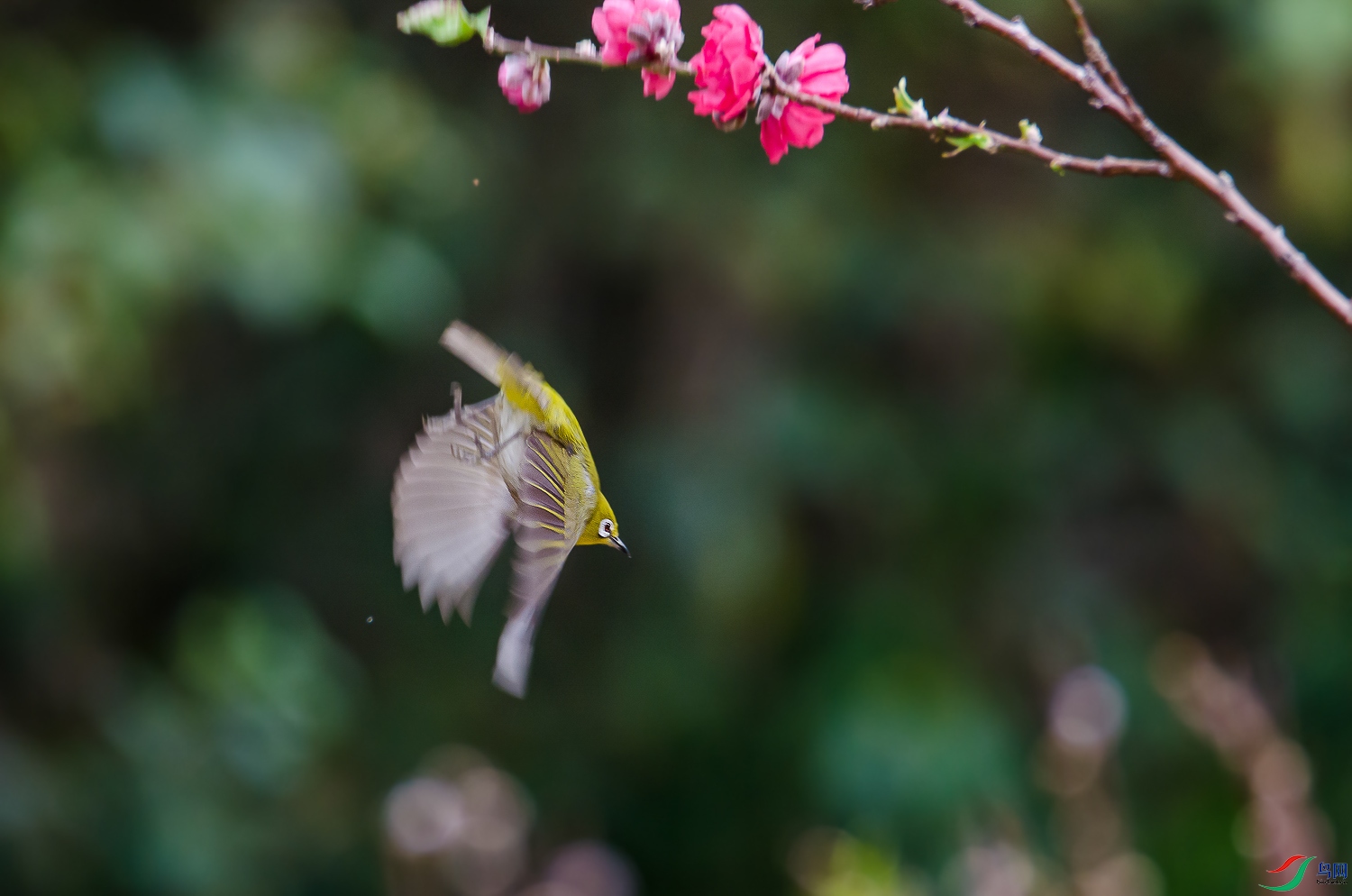DSC_6188.jpg