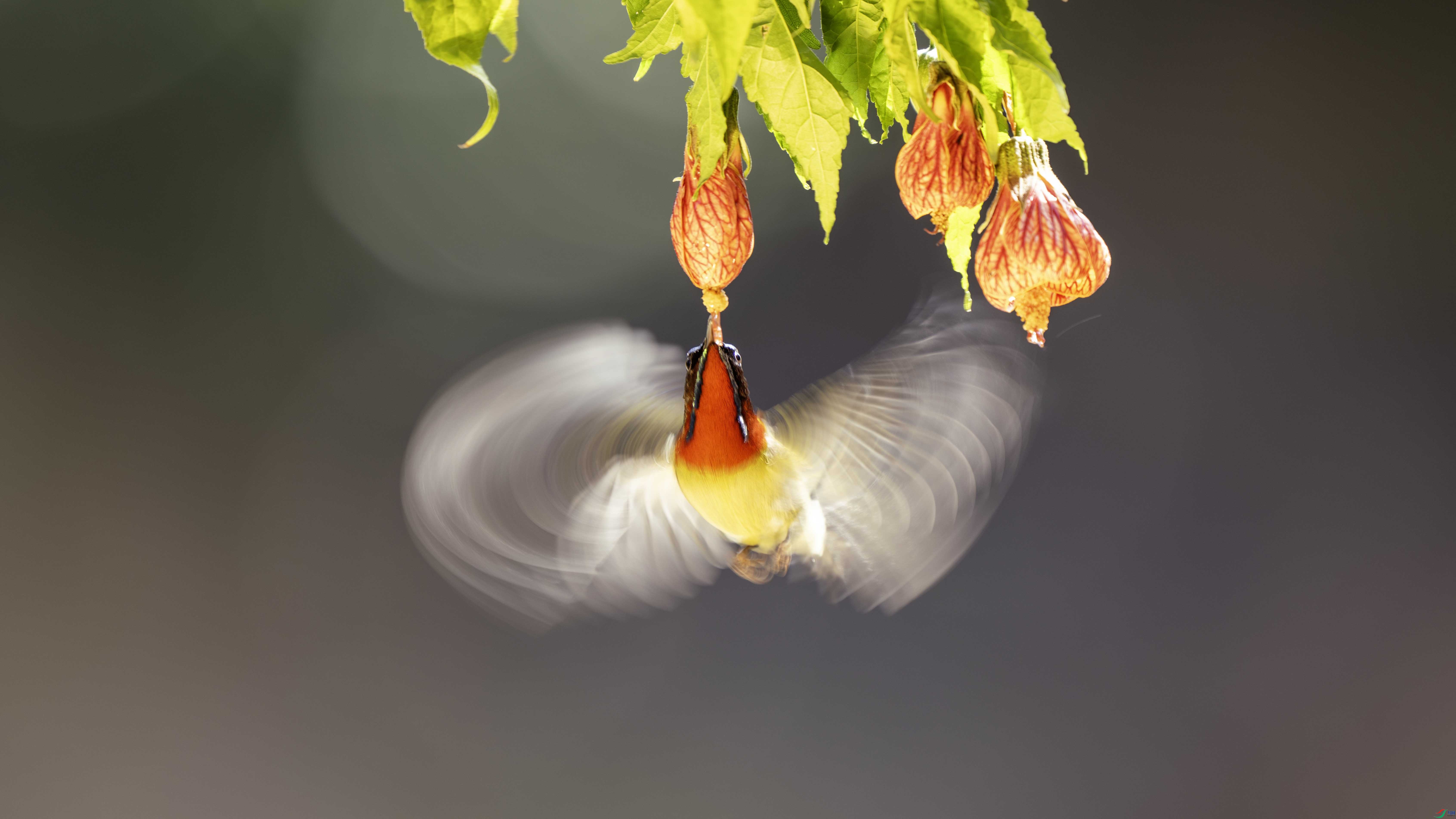 _DSC8205 ���� 2.jpg