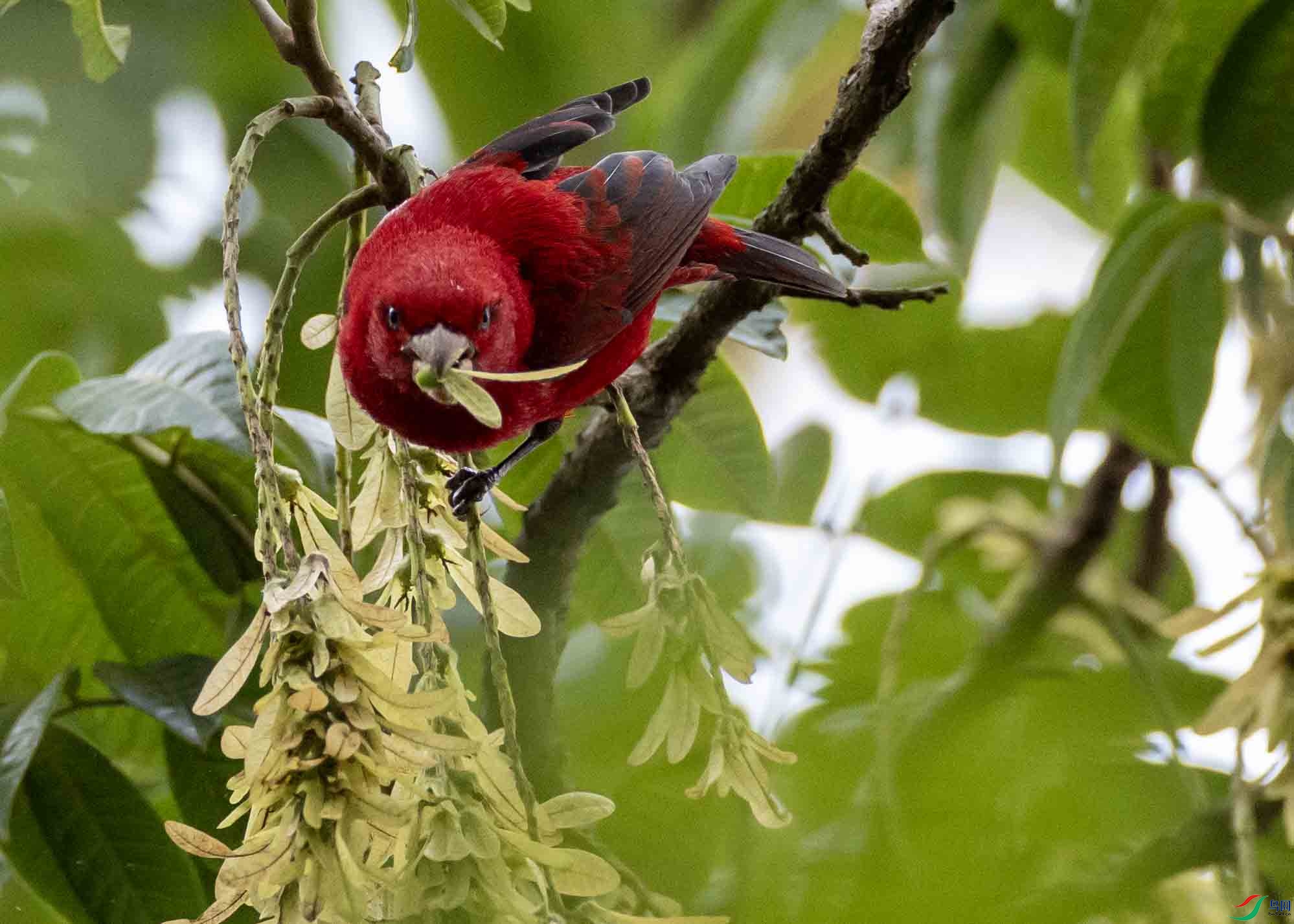 1-4L2A8384 ���� -2.jpg