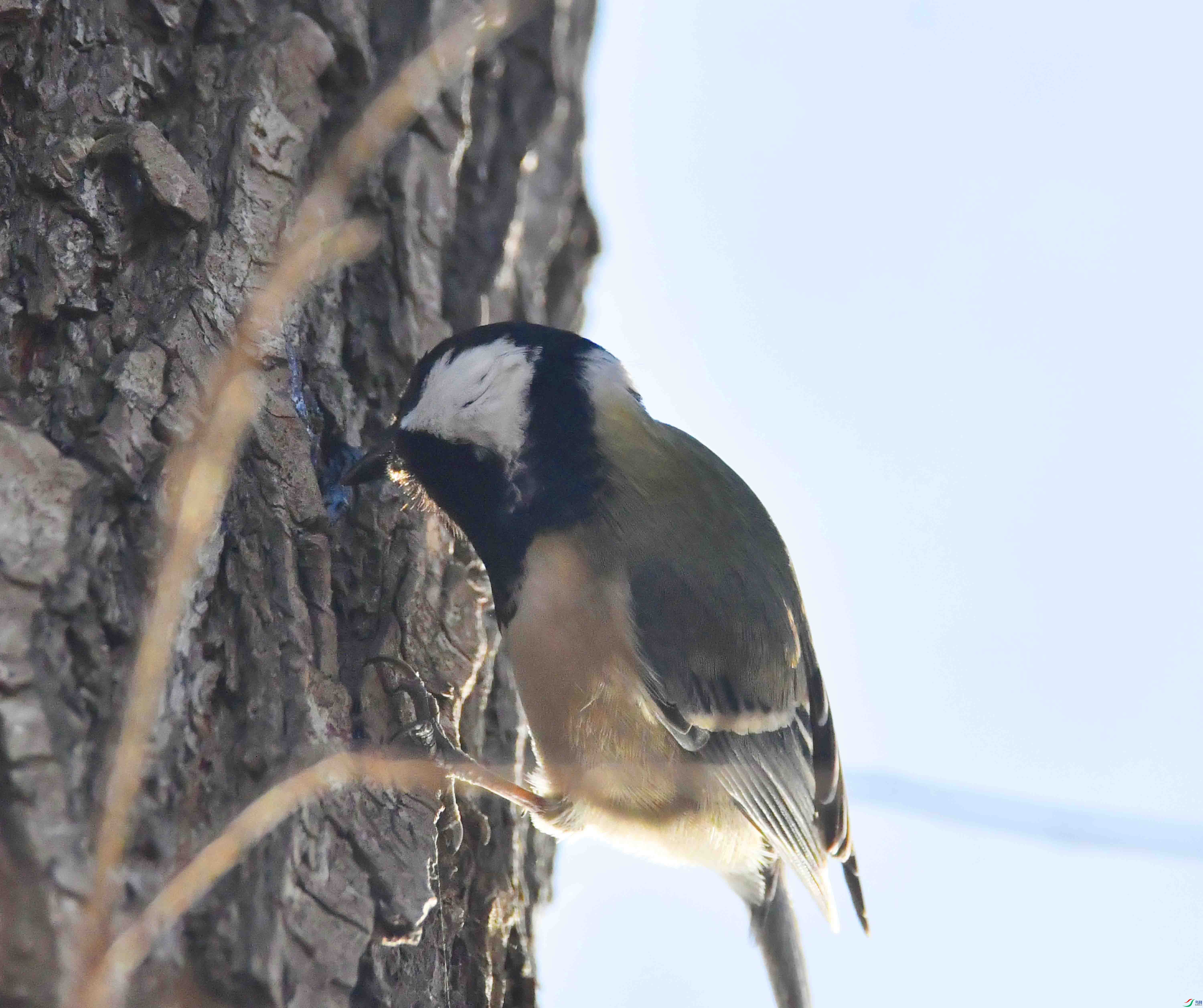 DSC_0114.JPG