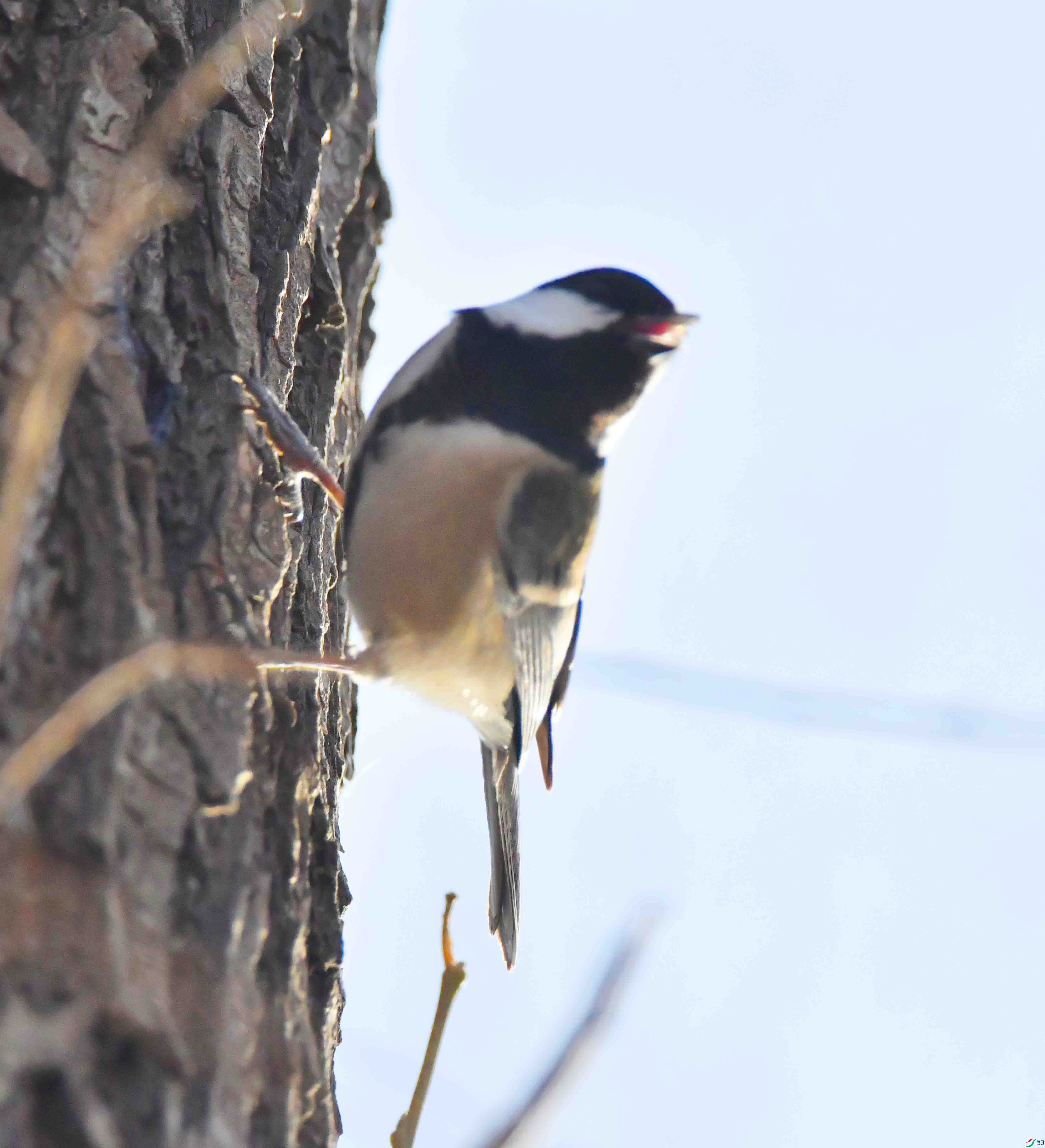 DSC_0119.JPG