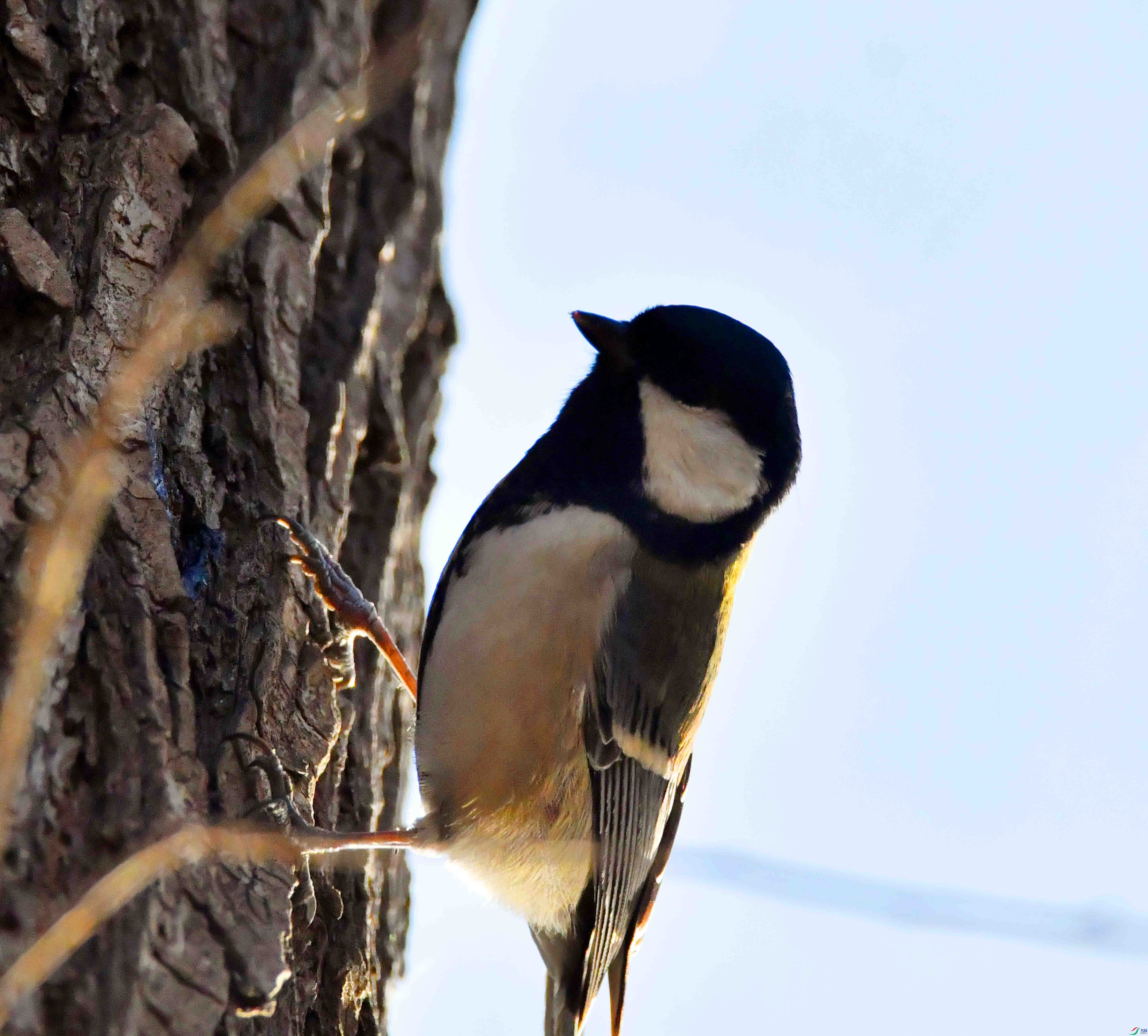 DSC_0128.JPG