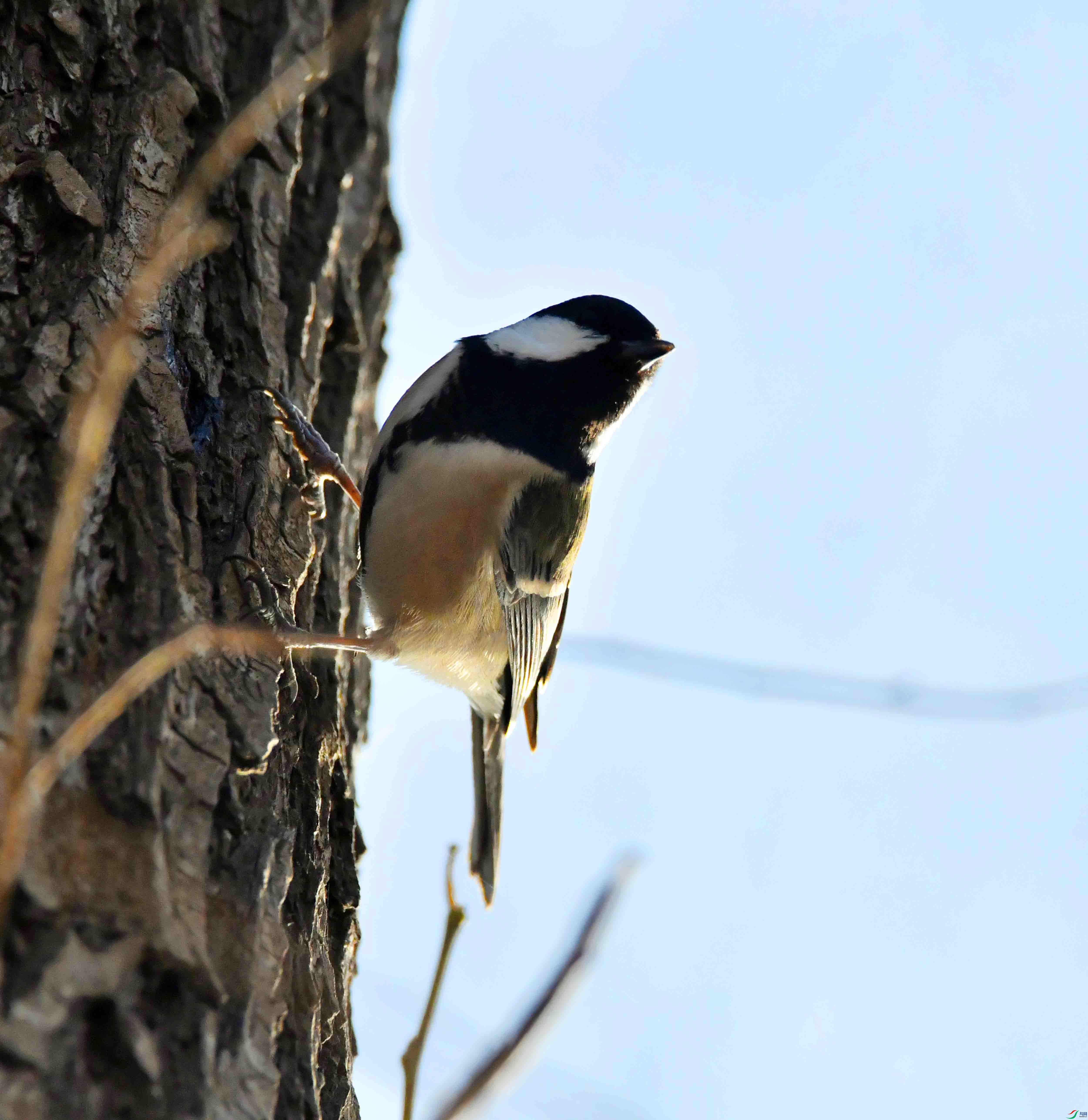 DSC_0120.JPG