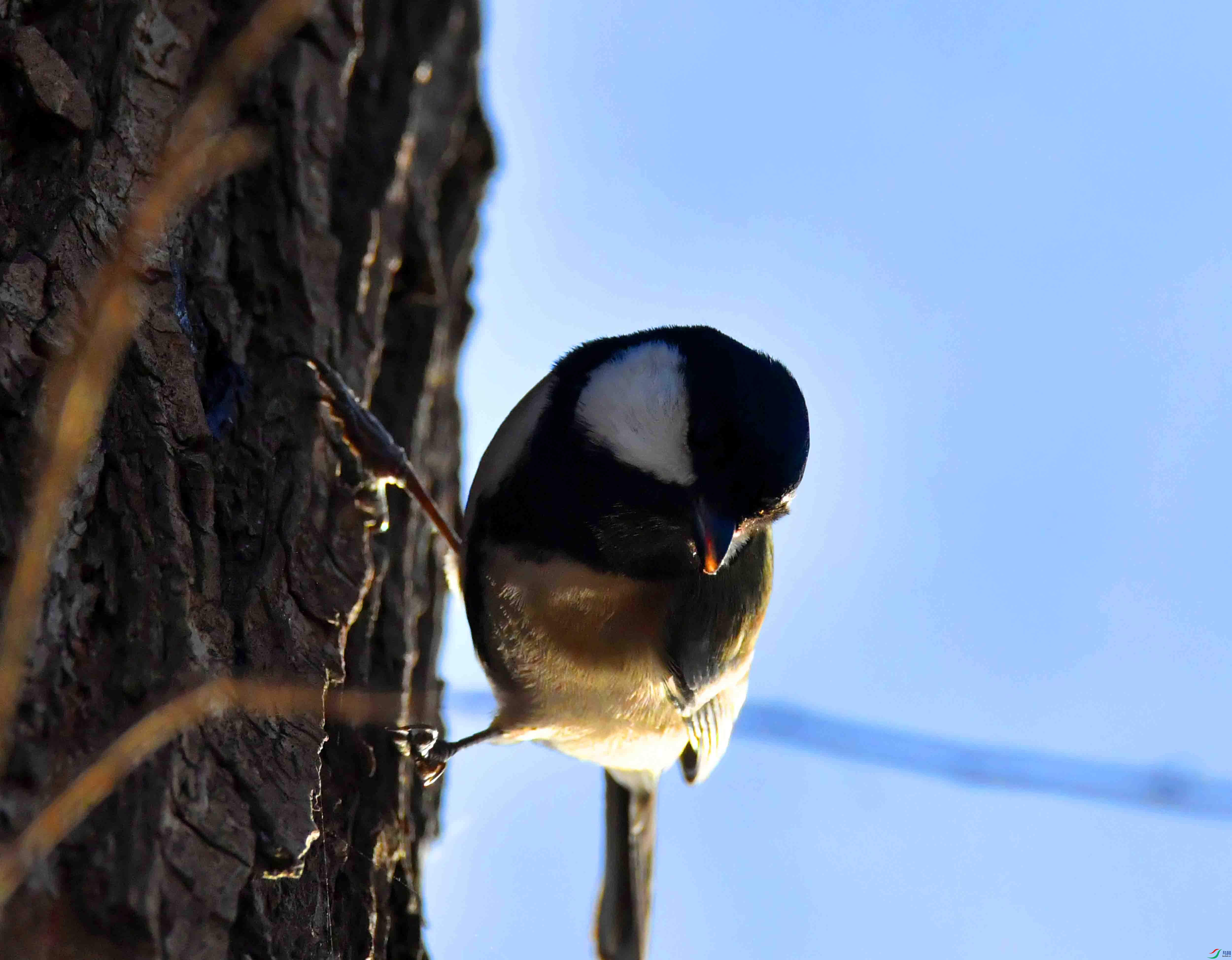 DSC_0129.JPG