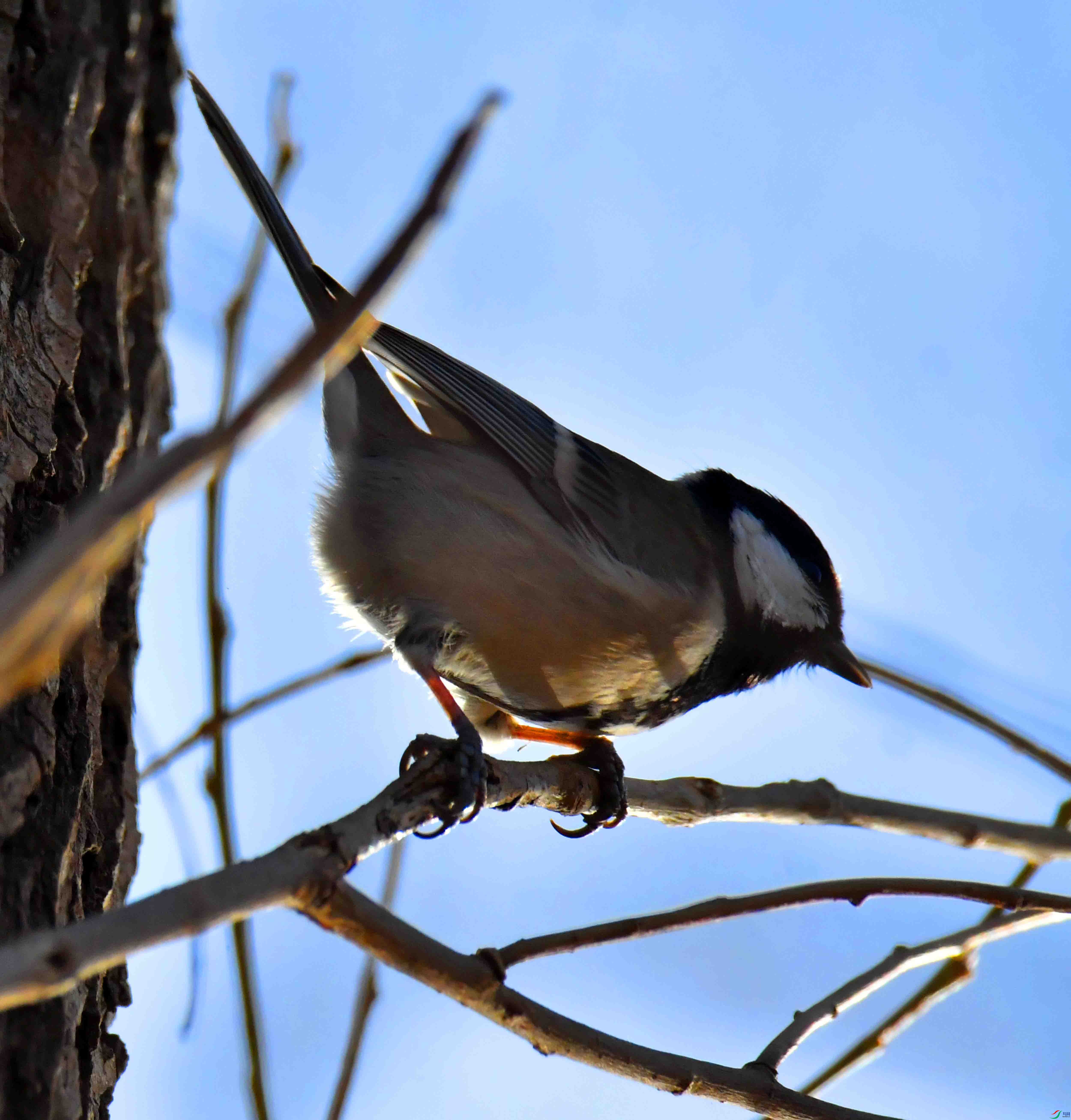DSC_0131.JPG