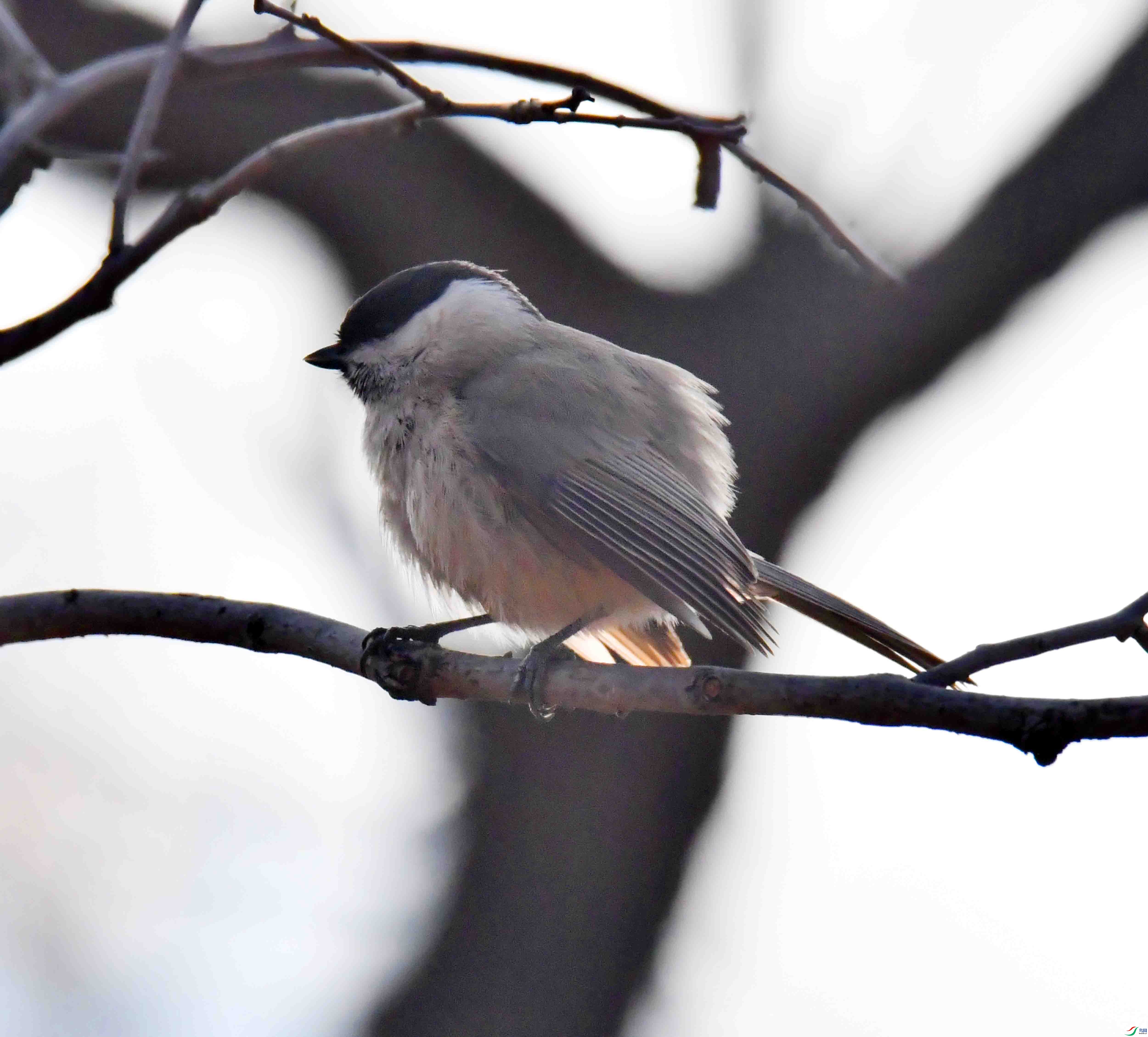 DSC_8290.JPG