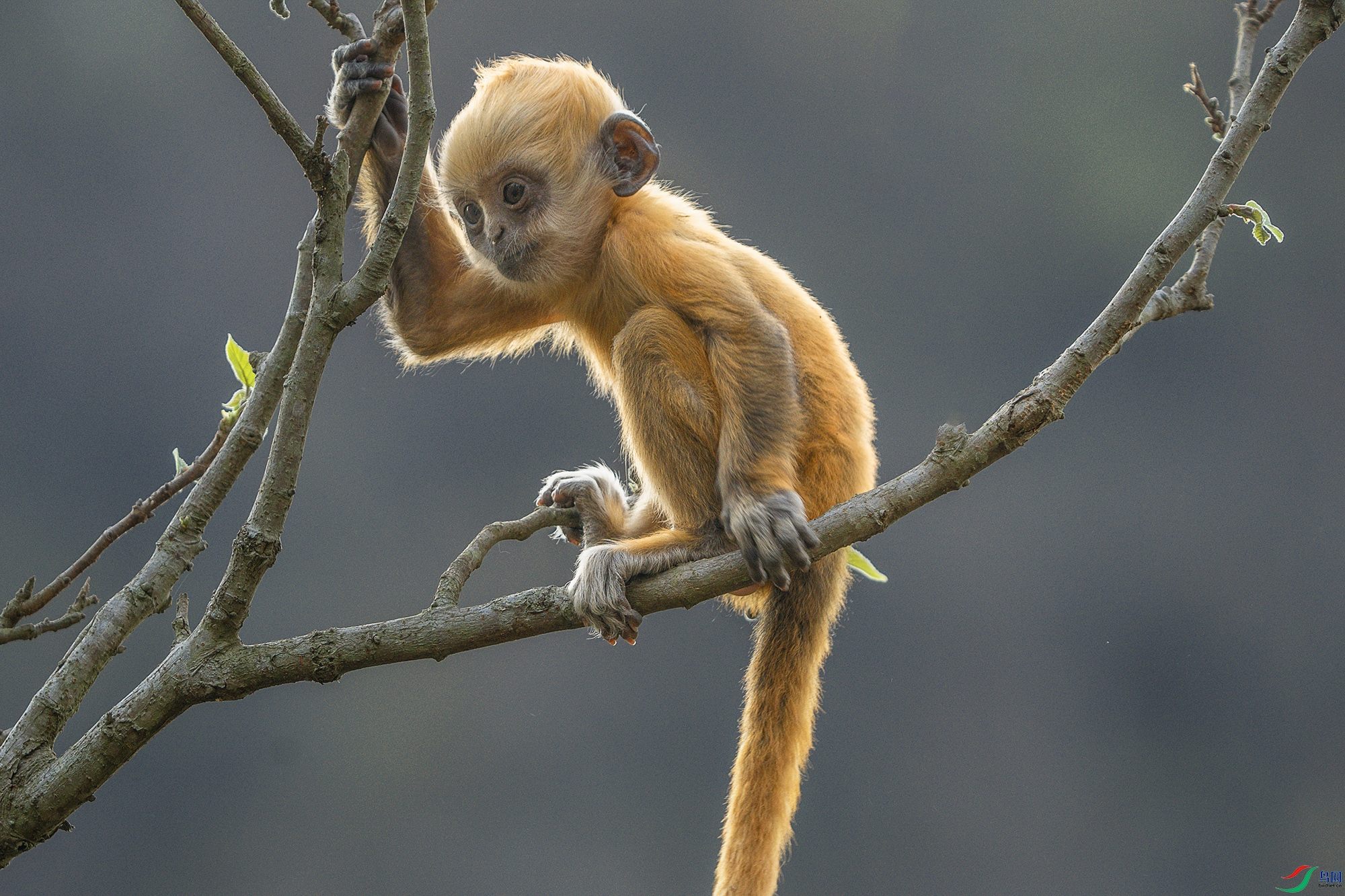 DSC04886 ���� 2.jpg