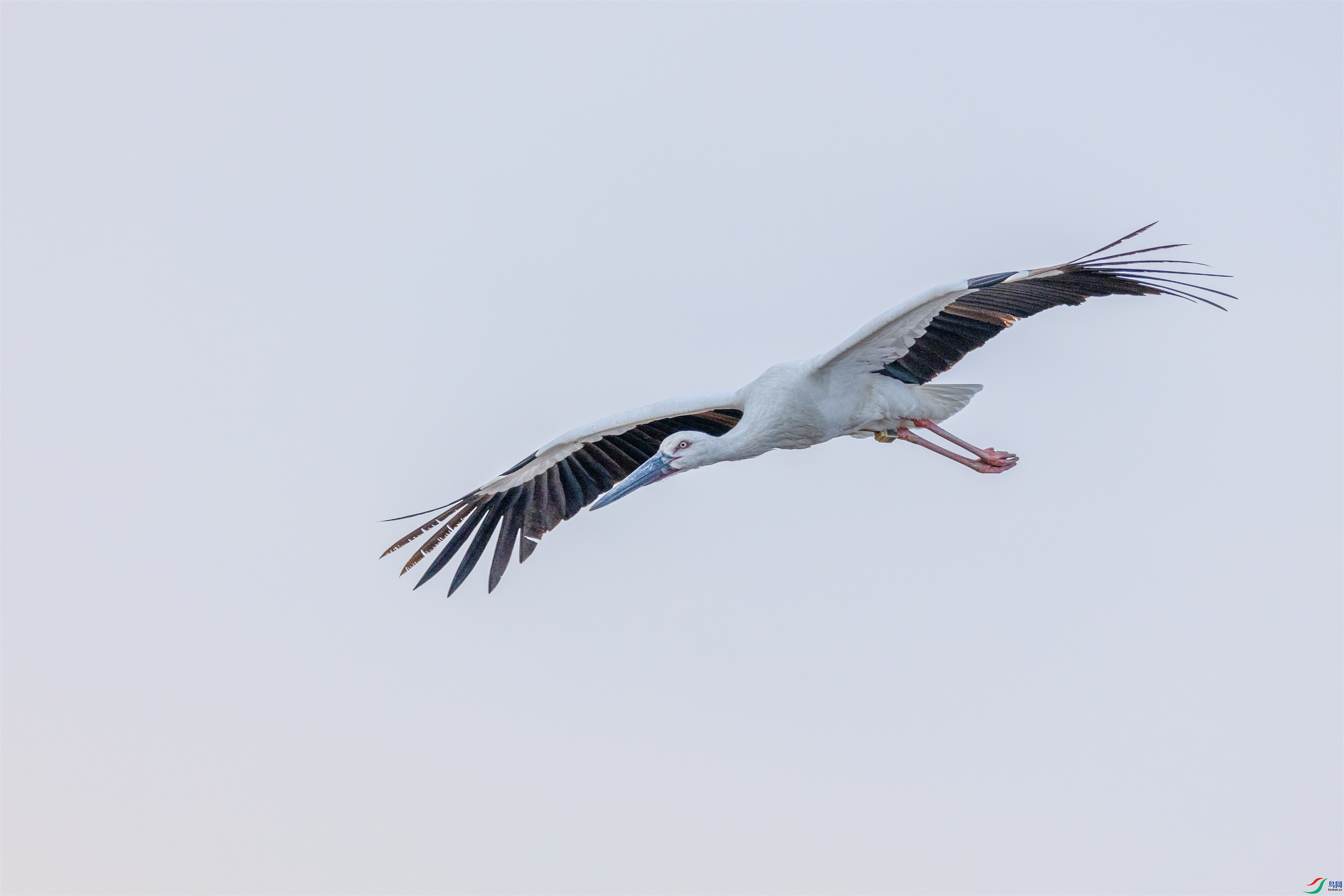 1K3A2024 ����1.jpg