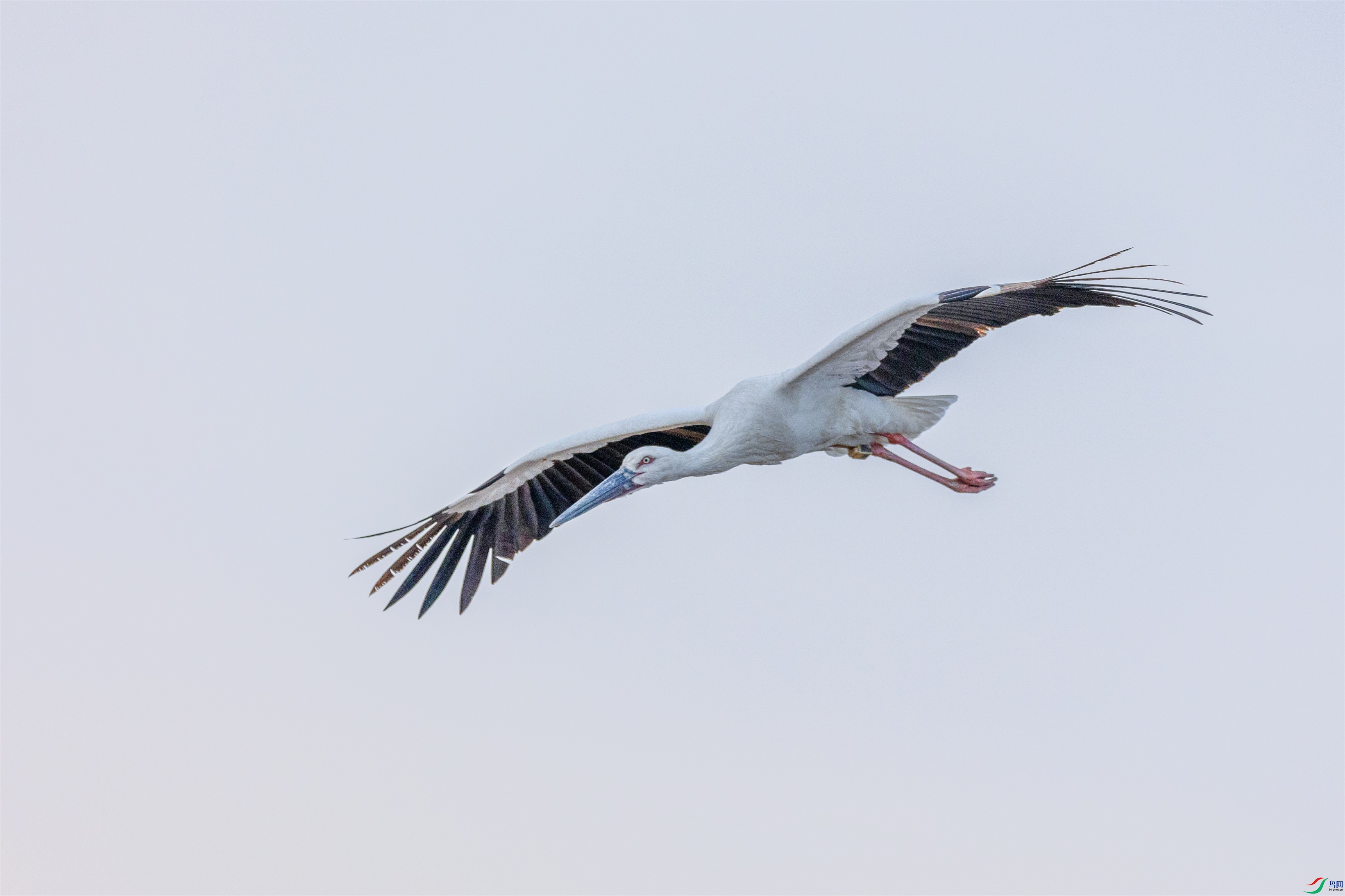 1K3A2025 ����1.jpg