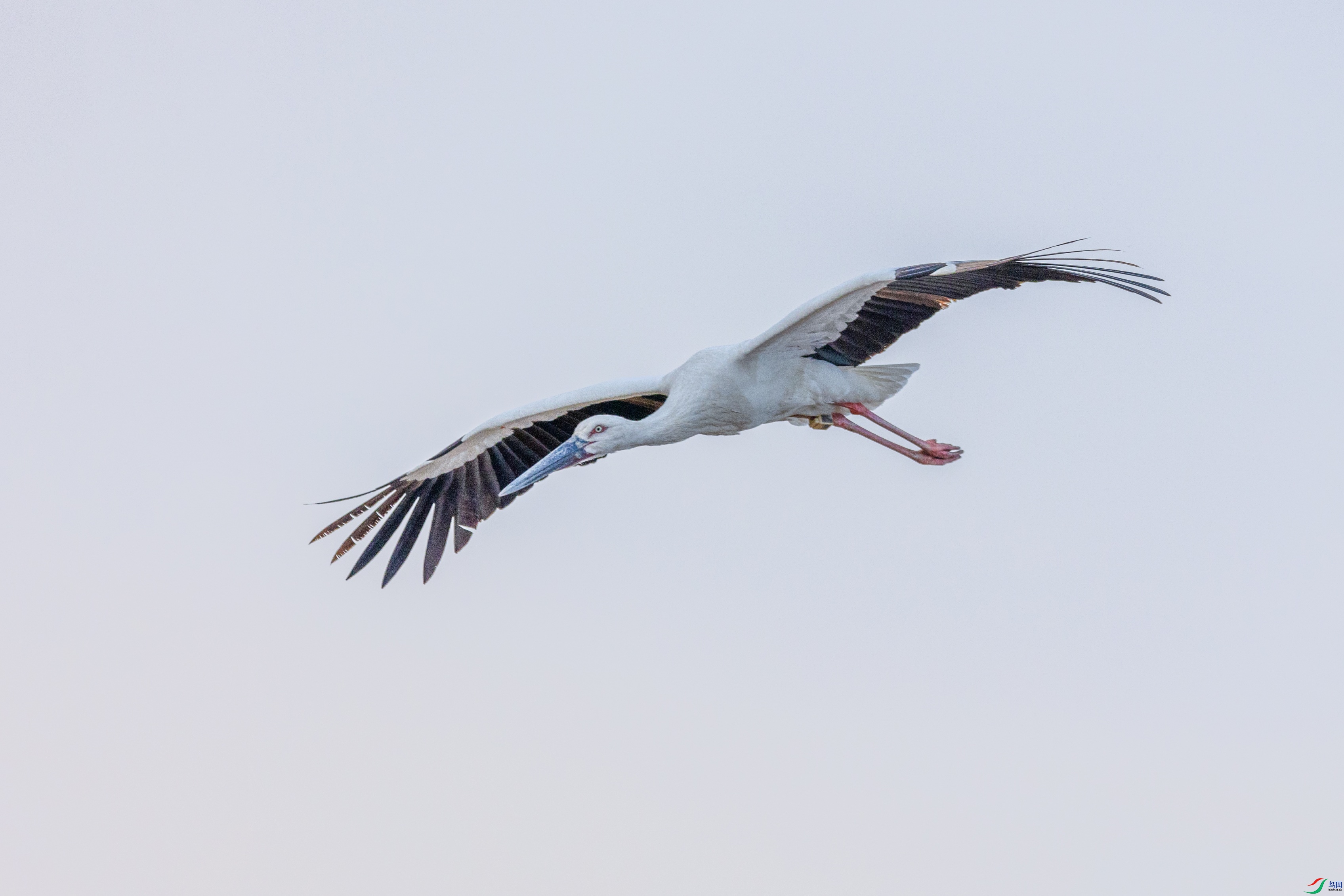 1K3A2026 ����1.jpg