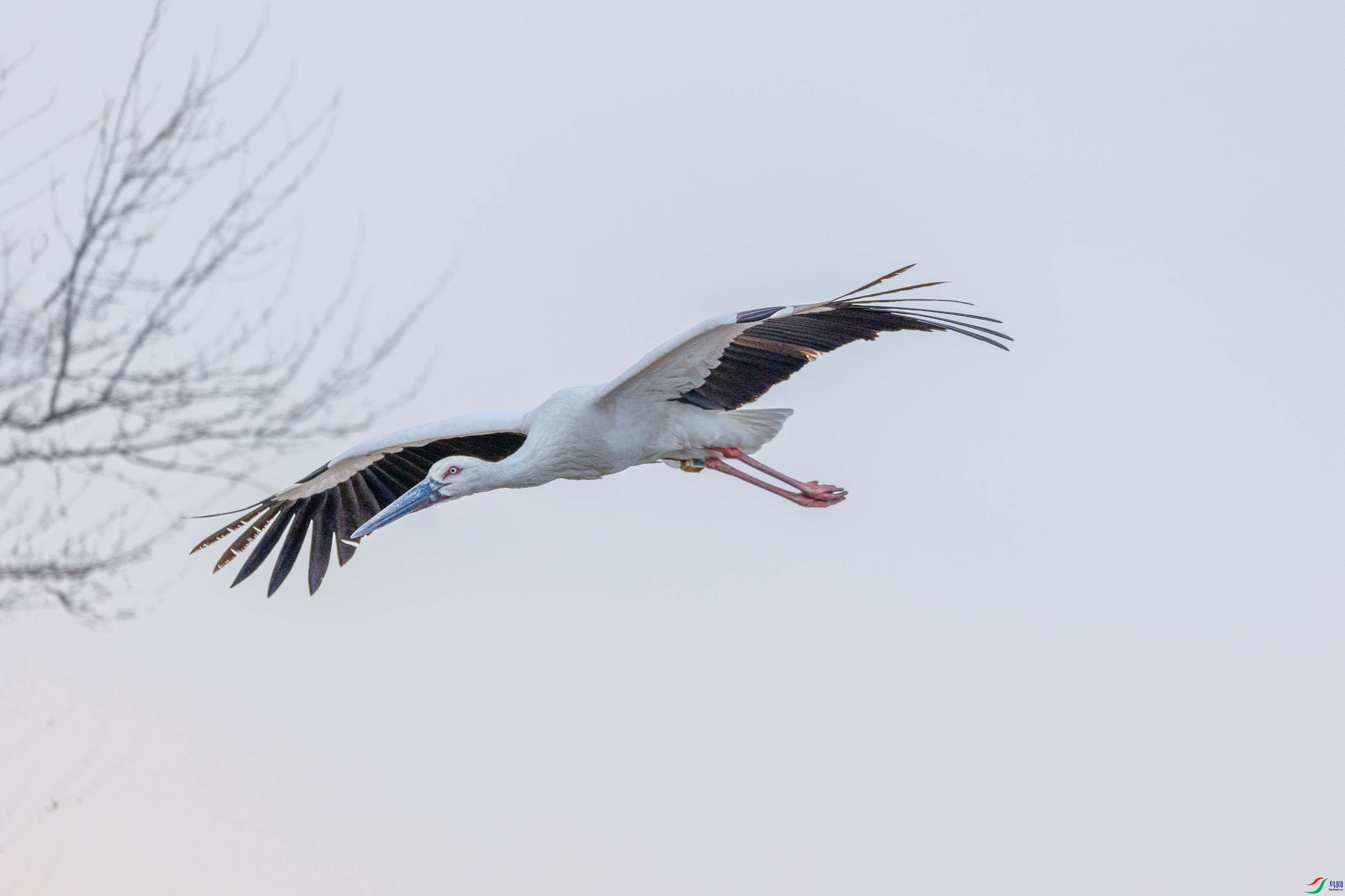 1K3A2028 ����1.jpg