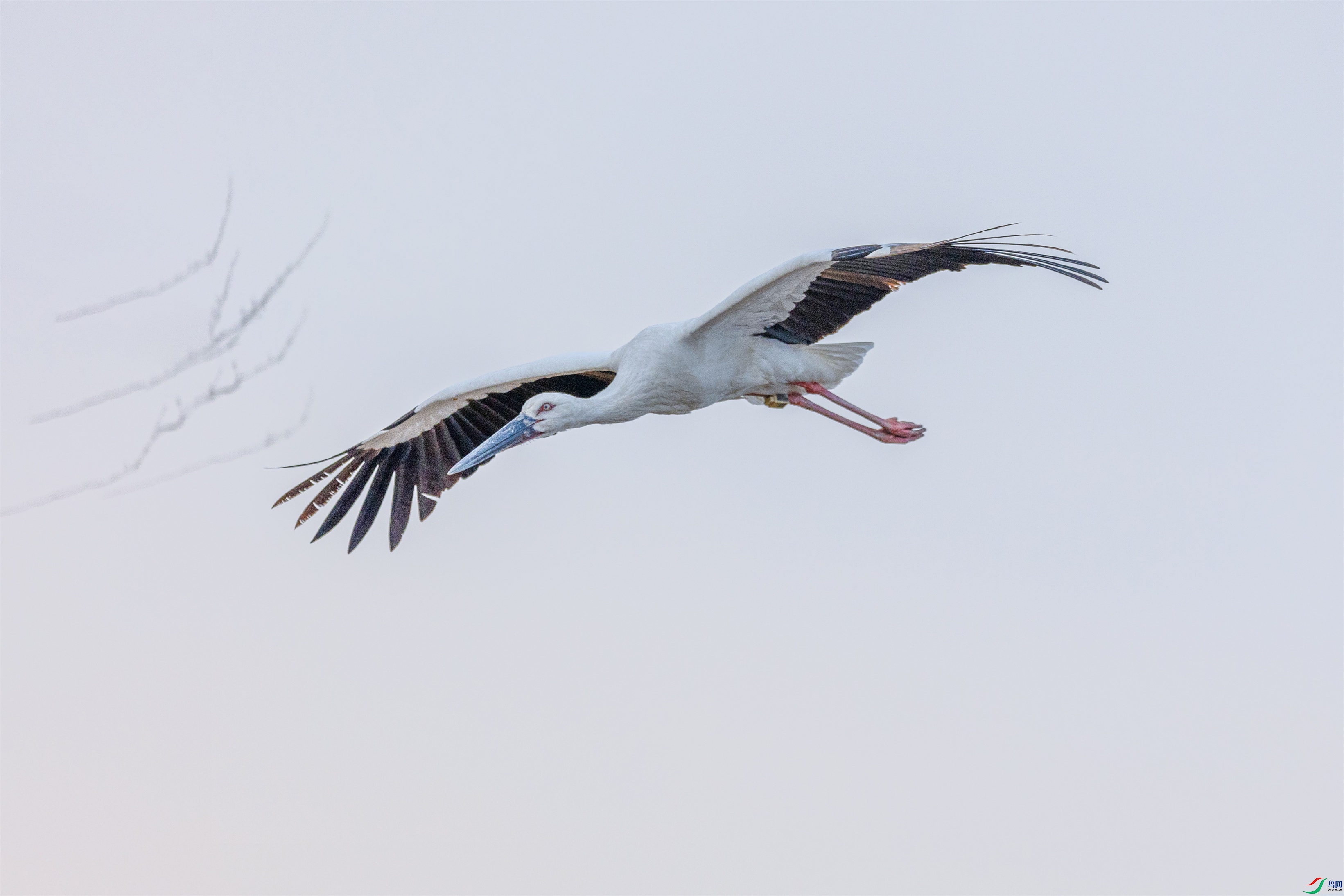 1K3A2027 ����2.jpg