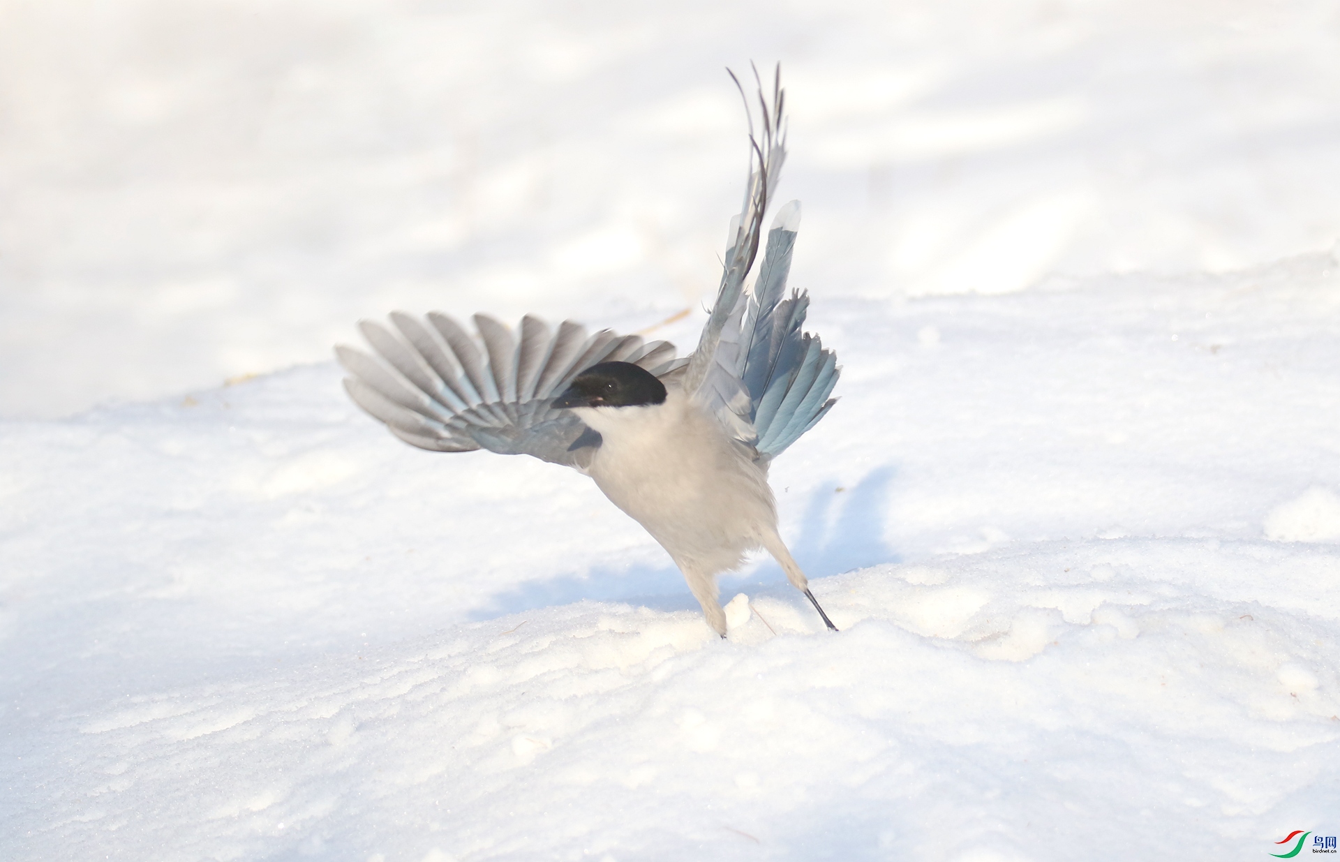 0G1A6543 ����.jpg