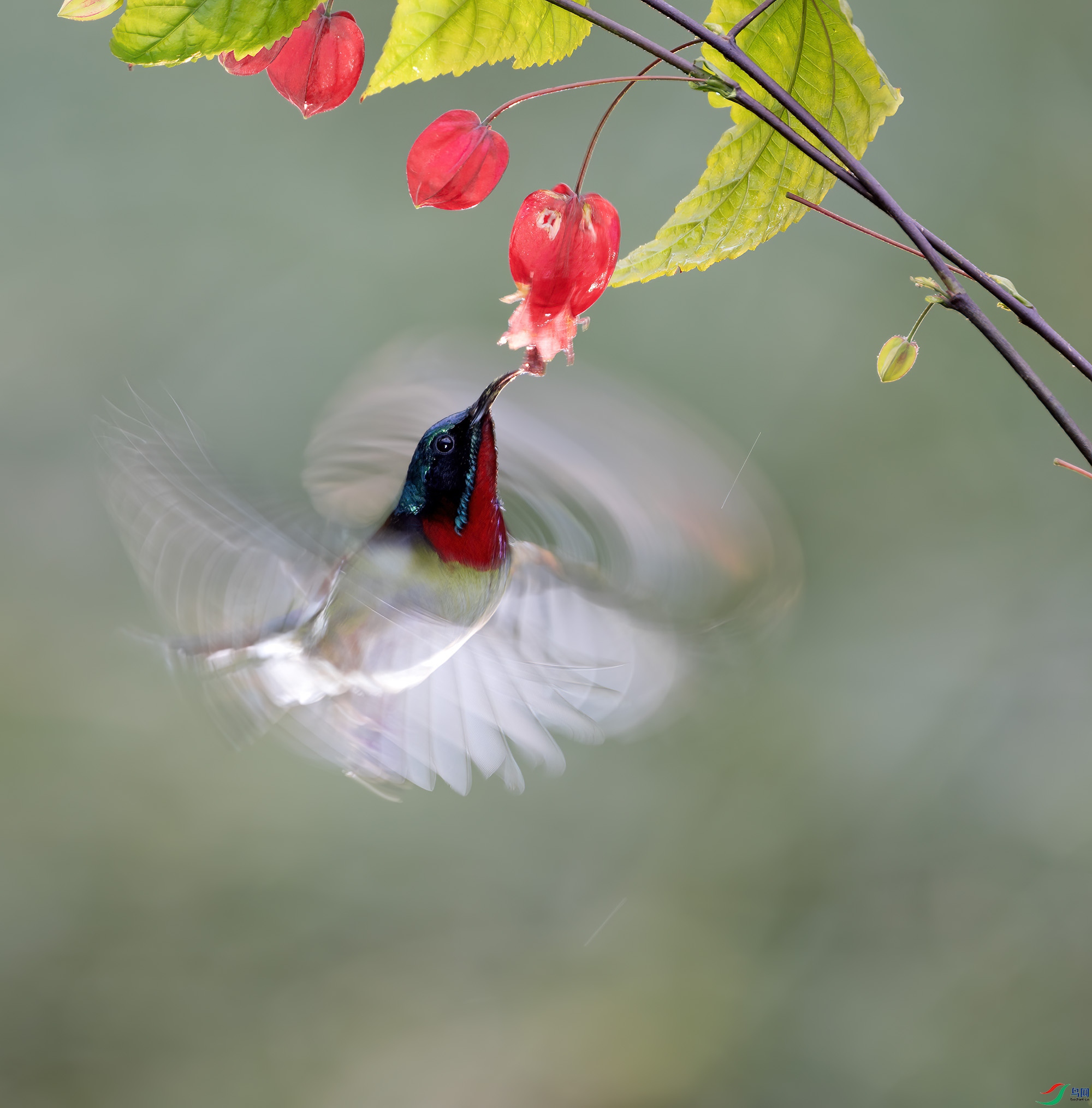 DSC_2676 ����.jpg