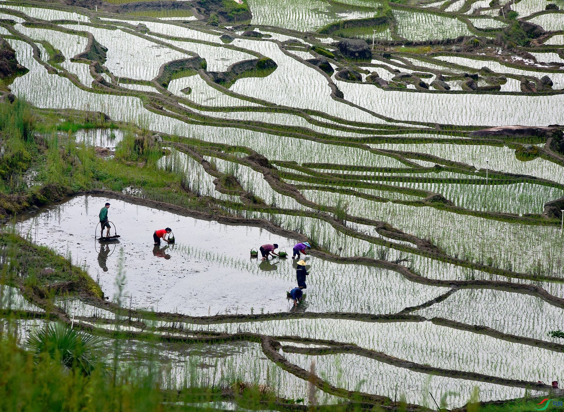 ������׺��� ��������.jpg