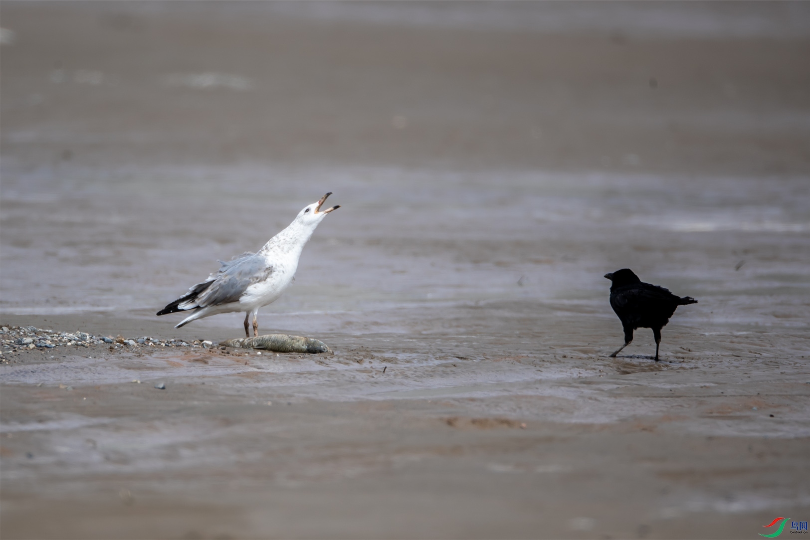 ��Ÿ08 ����.jpg