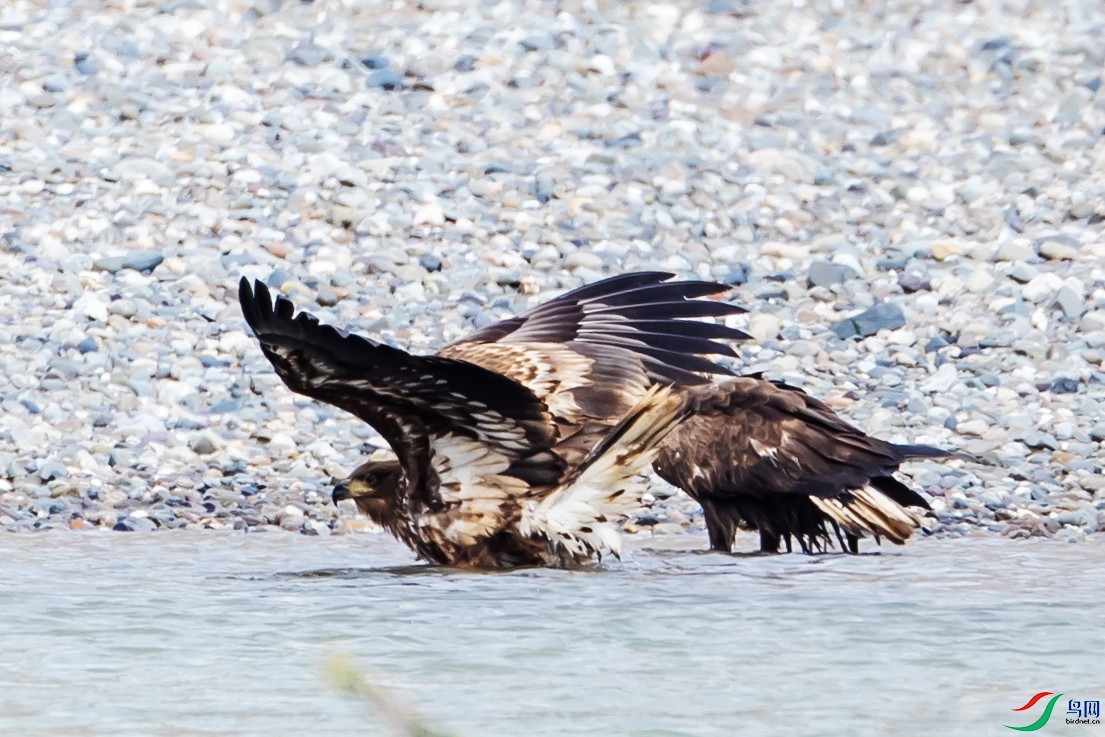 ��β����53 ����.jpg