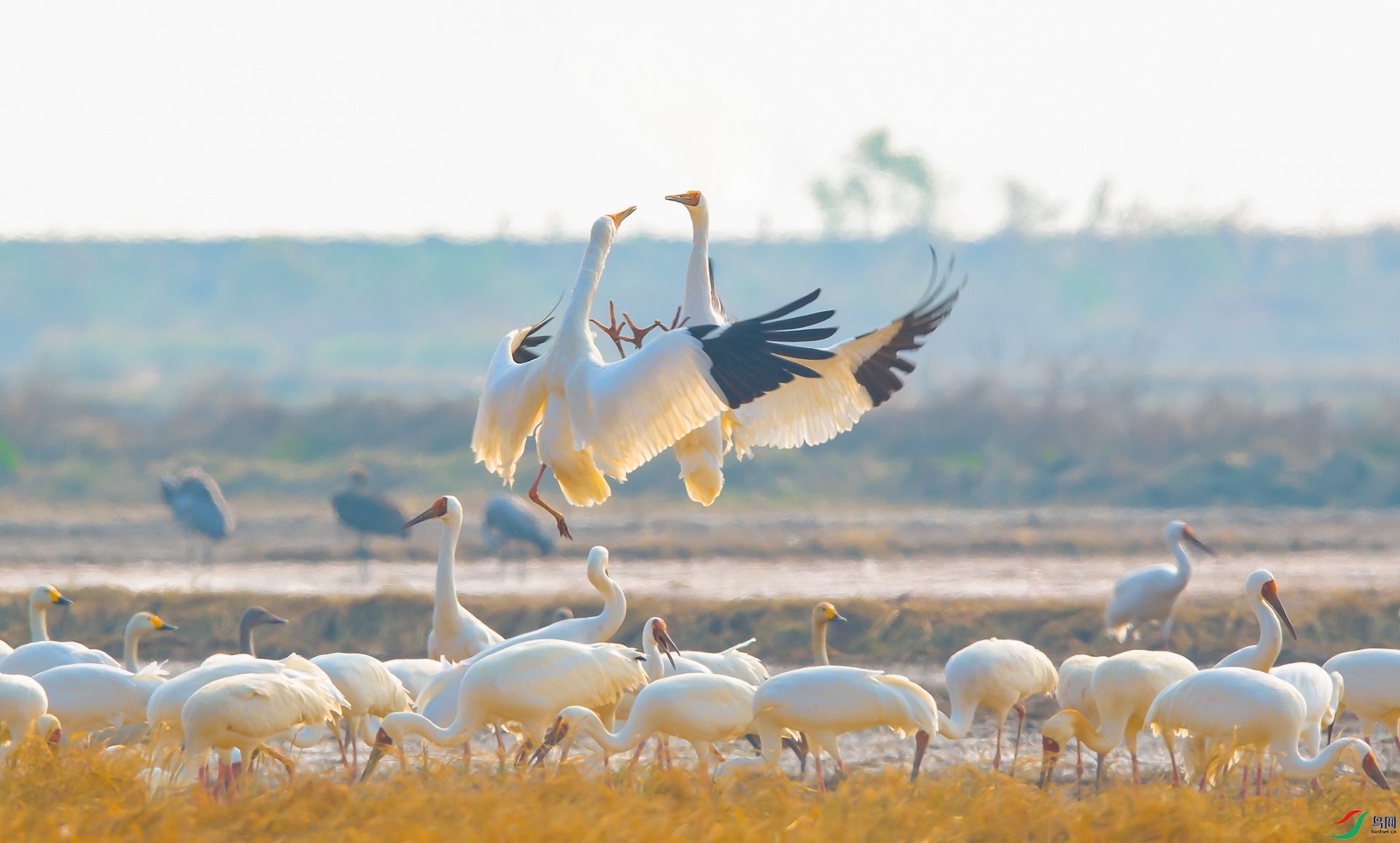 DSC_�׺� 1- ���� 1.jpg