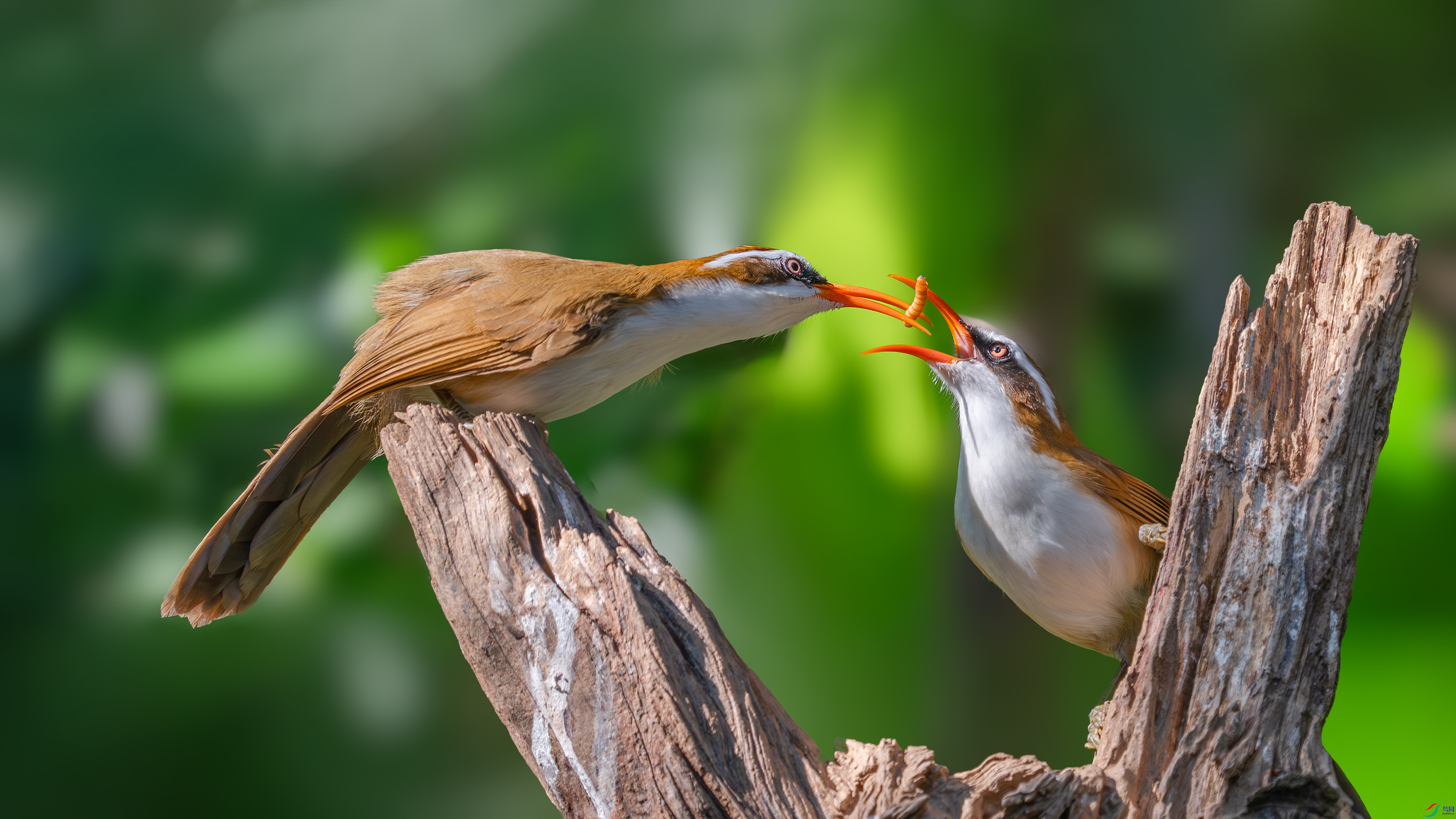 _DSC3232 ����.jpg