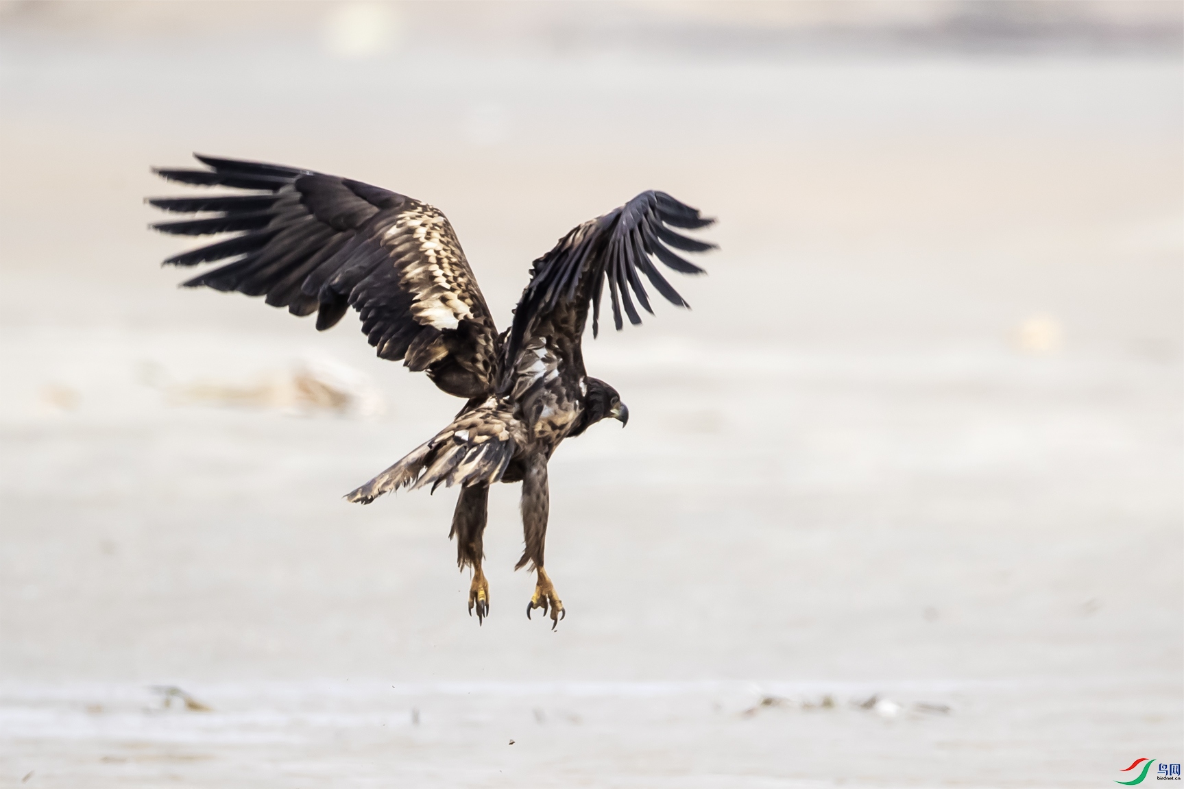 ��β����79 ����.jpg