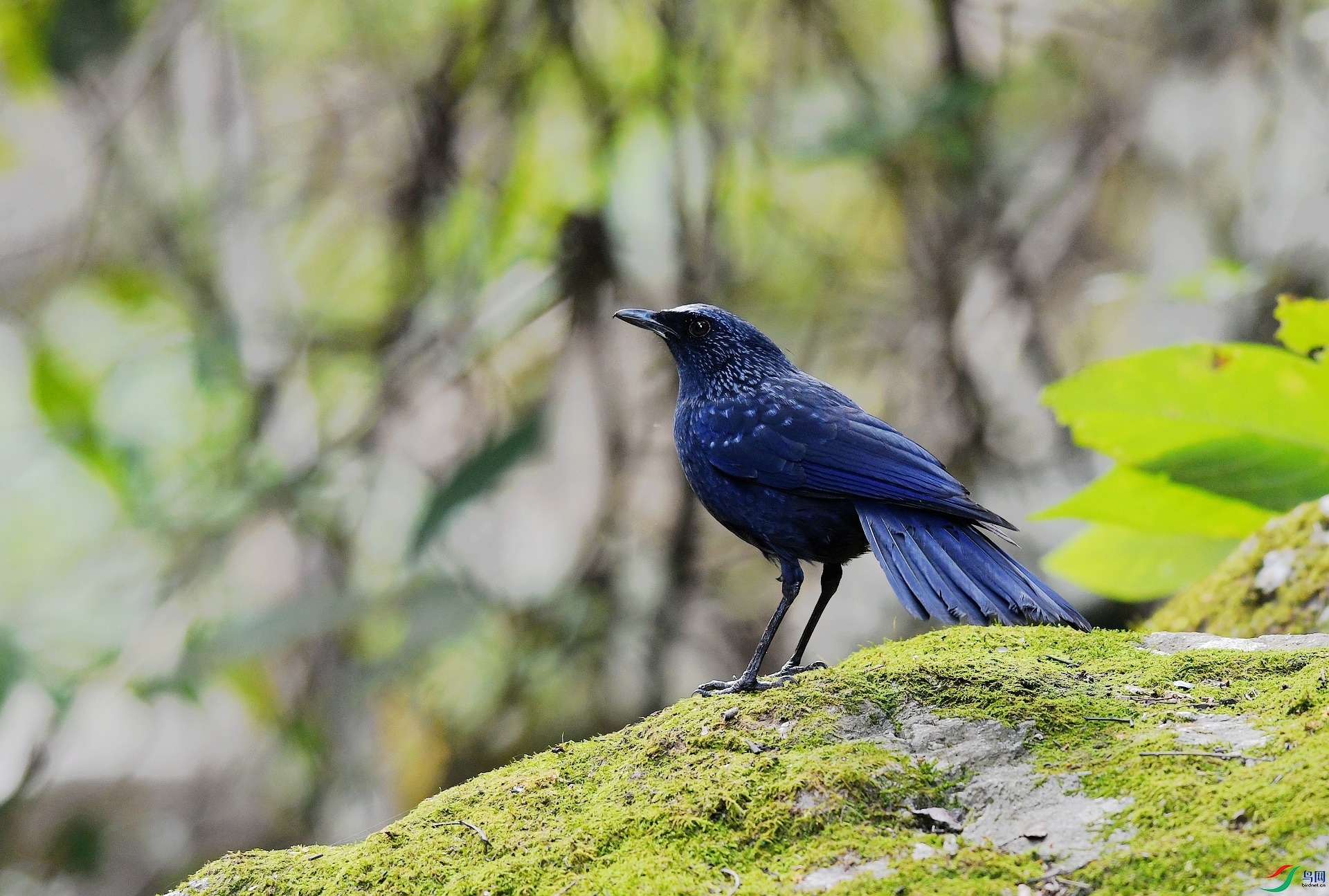 DSC_5407.jpg