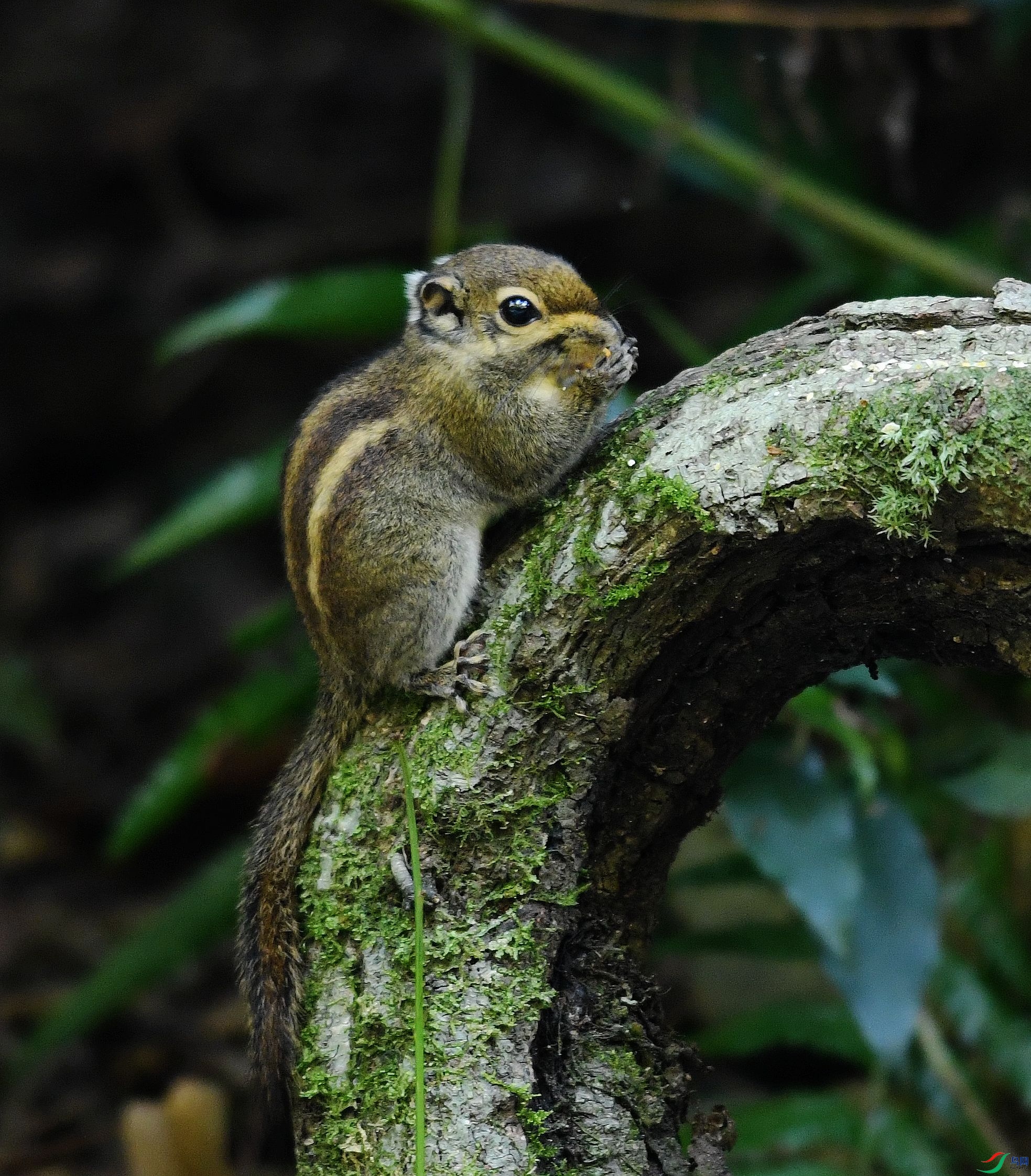 DSC_6303.jpg